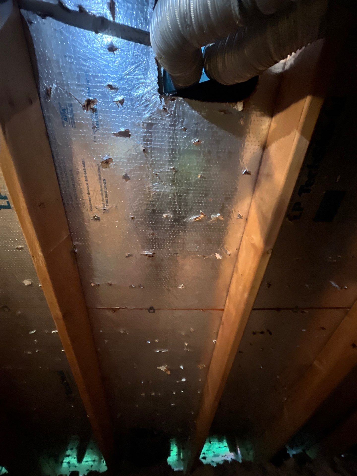 Hail Damage using Owen's Corning Duration (Lifetime) Shingles by Roof Repair Company
