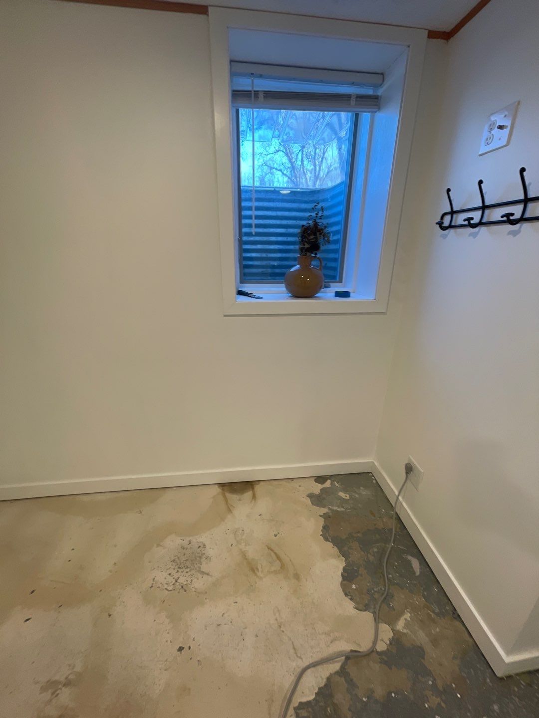 Peace of Mind for Molly’s New Home by Waterproofing Northeast