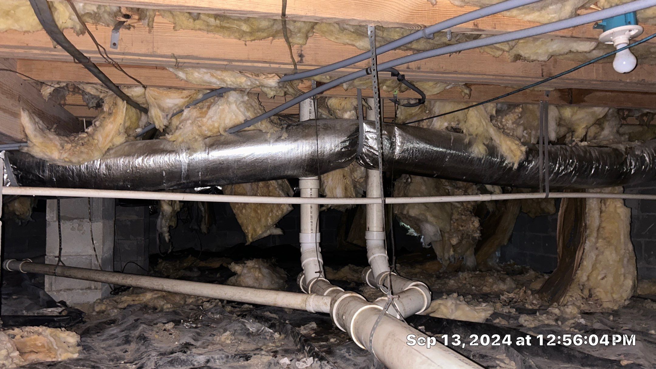 Limited Mold Remediation by EAS Environmental, LLC.
