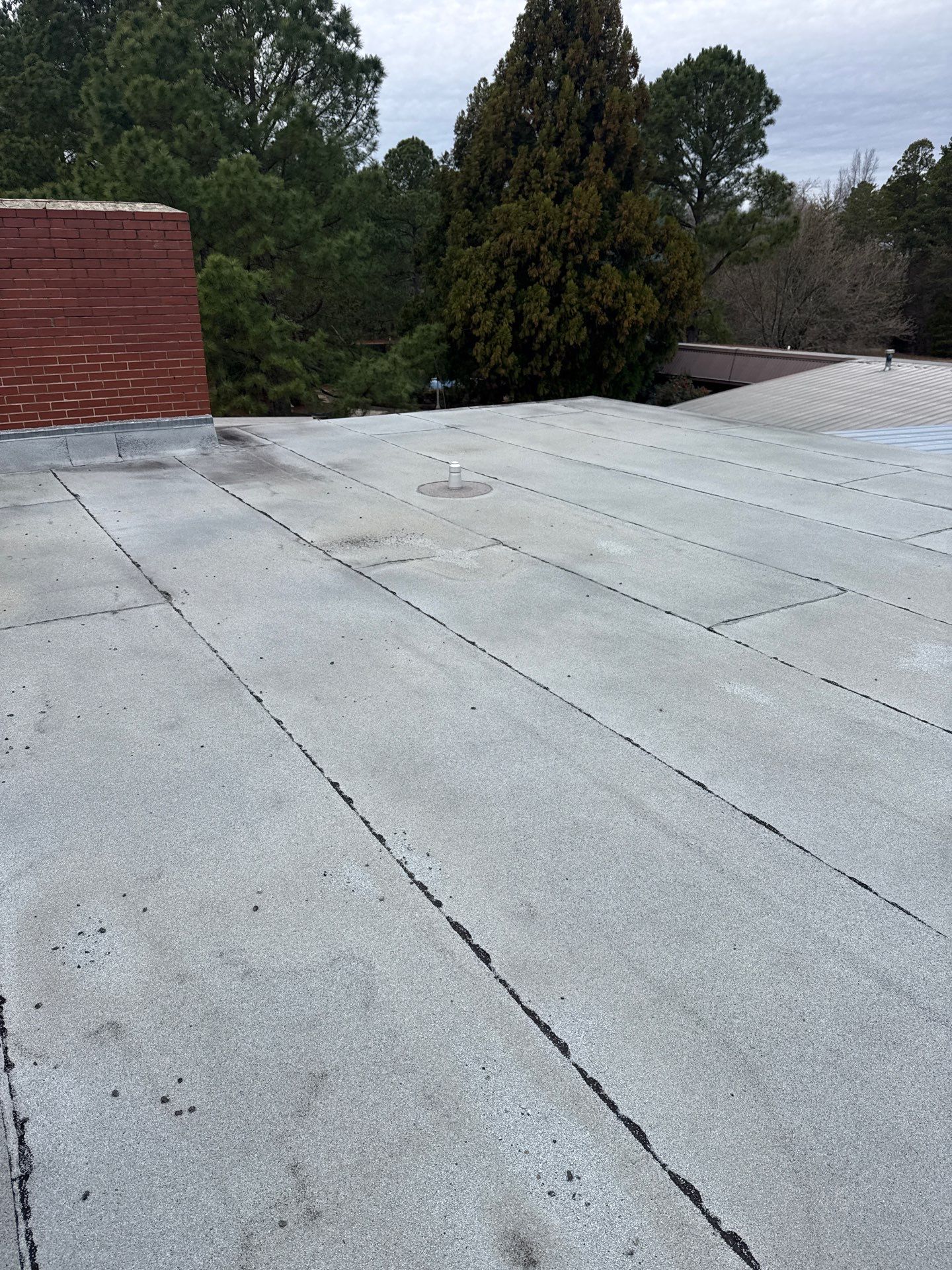 Commercial TPO Roof Replacement – Mebane, NC by Carolina Professional Roofing, Inc