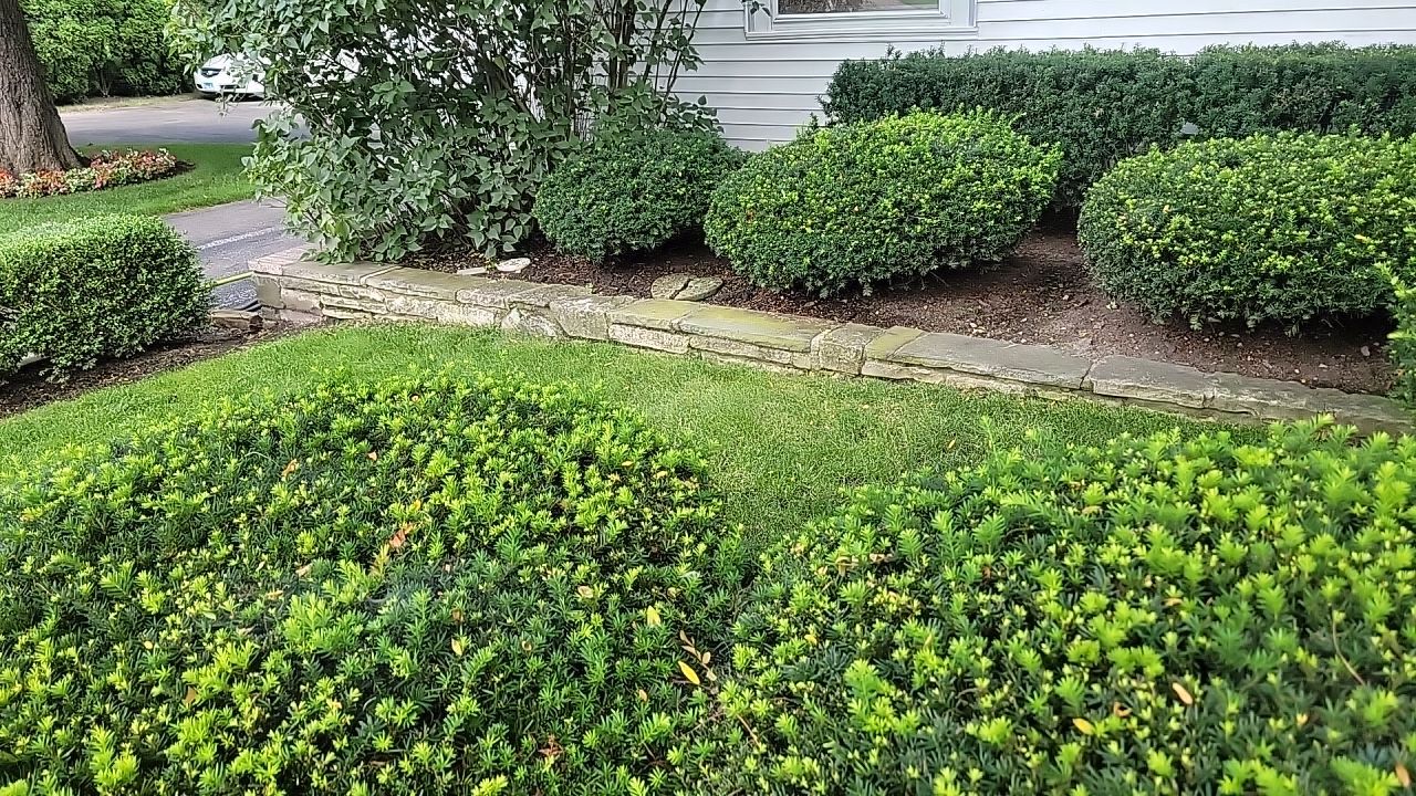 Housewashing  using Algaecide, soft wash soap by Northern Power Washing LLC.