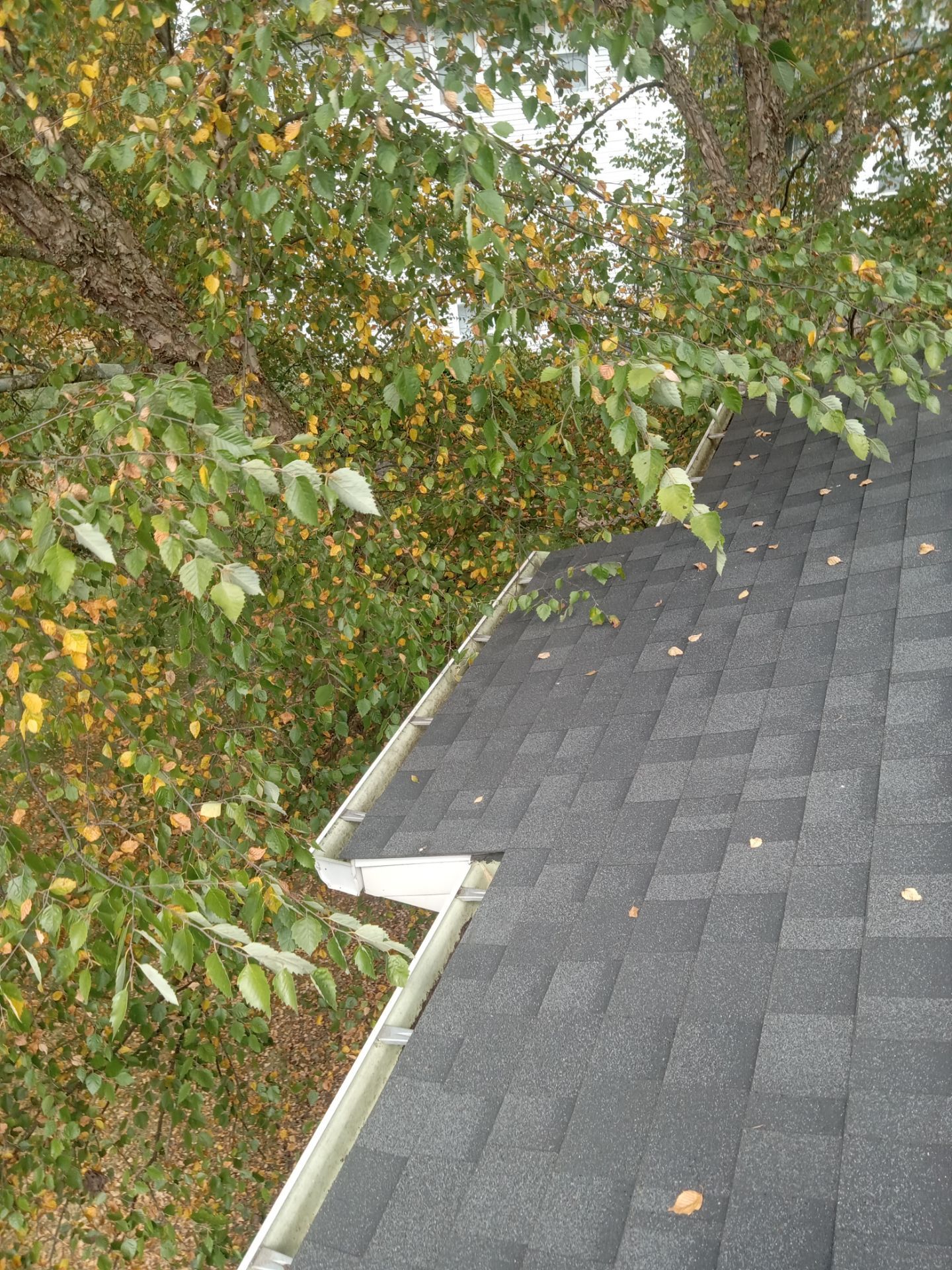 Commercial gutter cleaning Cincinnati after photo with clean gutters