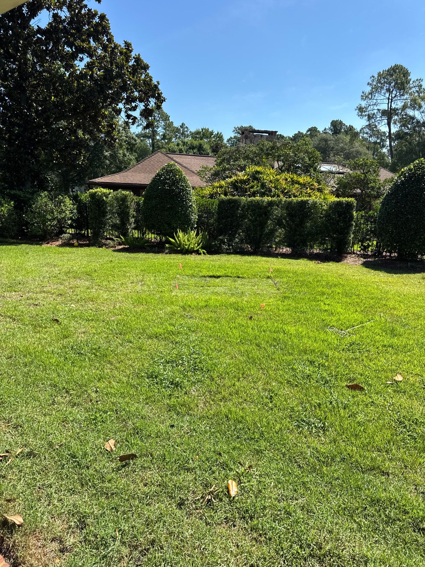Deerwood Resident | Sod Installation by ProGreen Services