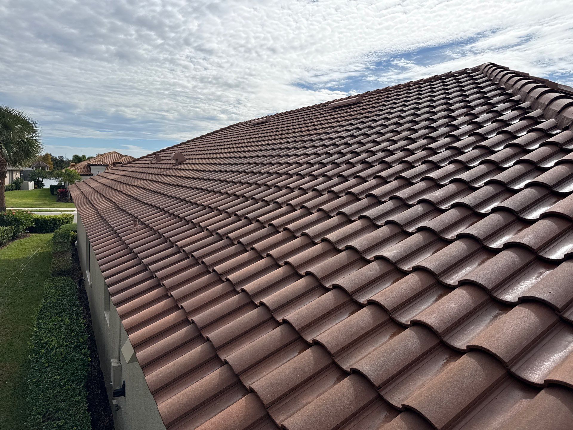 🌿 Tile Roof Cleaning in Lakewood Ranch — Safe for Plants & Tortoise-Friendly! 🐢✨ by Sunshine AquaWash