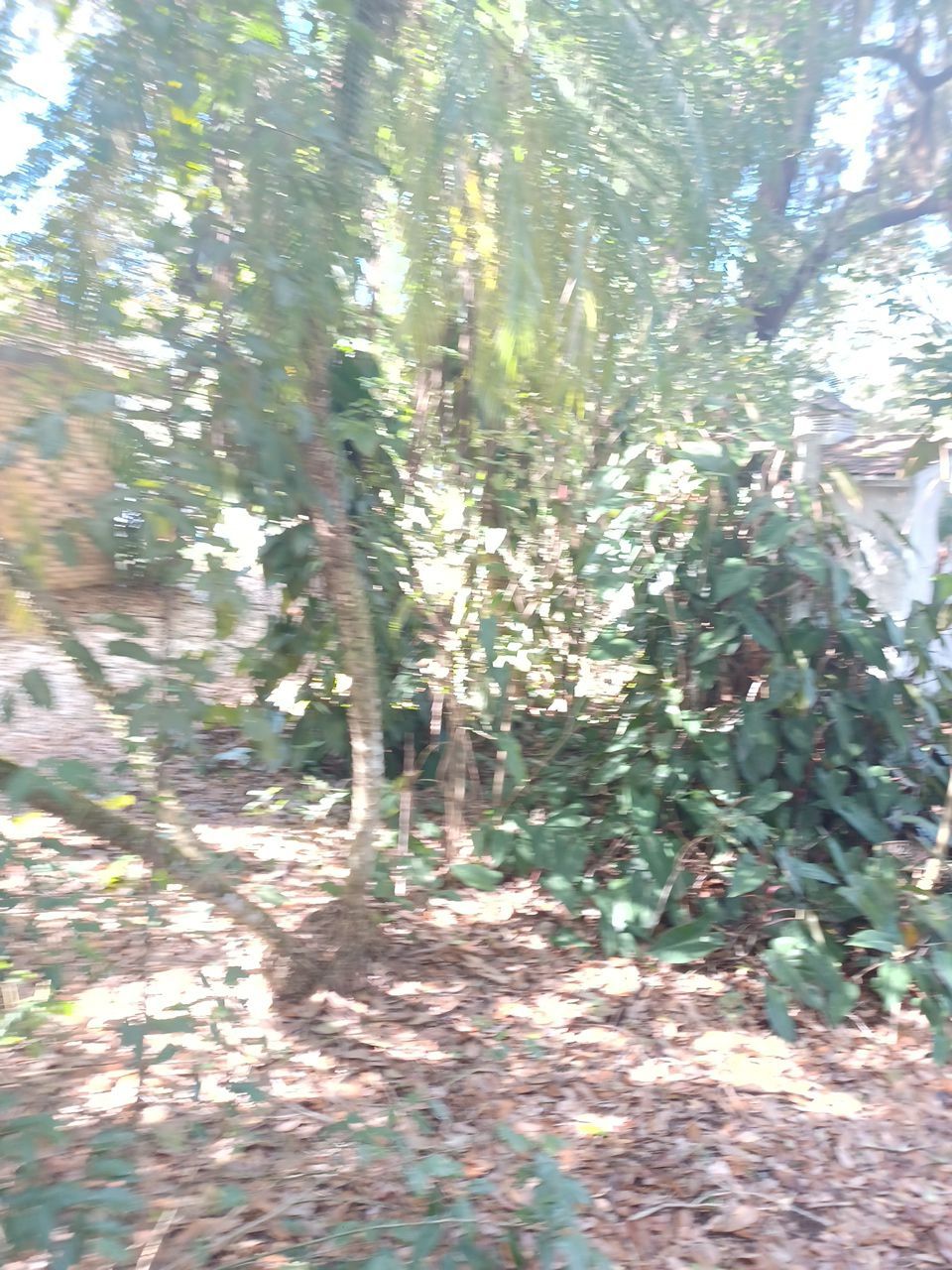 Bradenton, FL 6ft. Tall White Vinyl Privacy Fence  by Asap fence and gates, LLC
