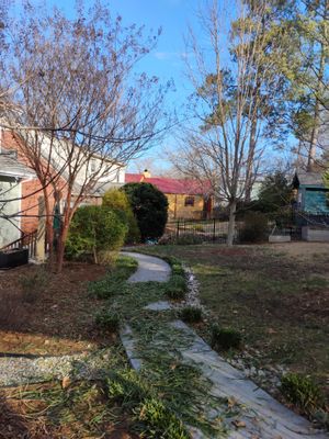 Yard cleanup in Durham
