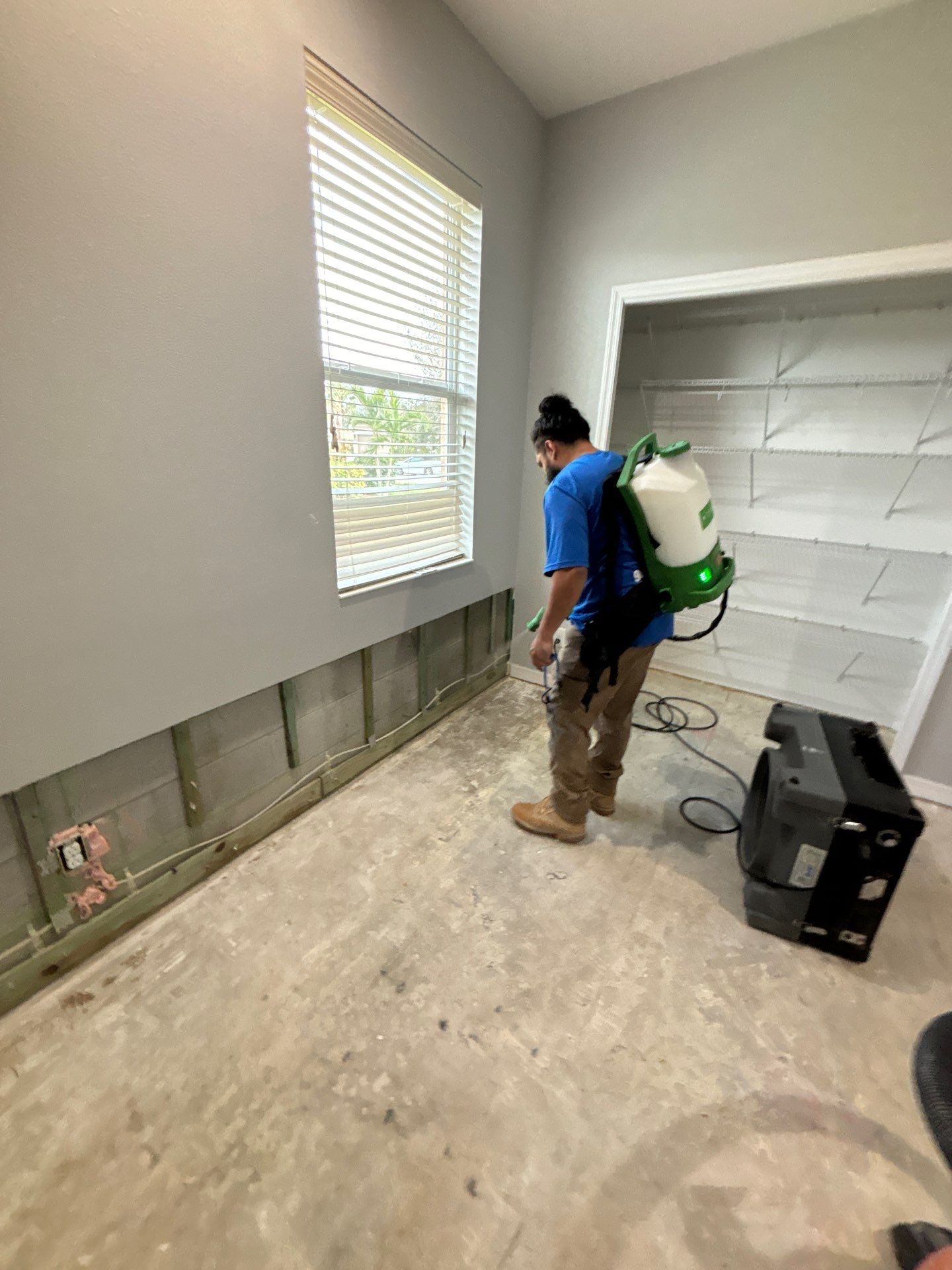 Mold Removal And Remediation In Parrish by Ampm Restoration Services