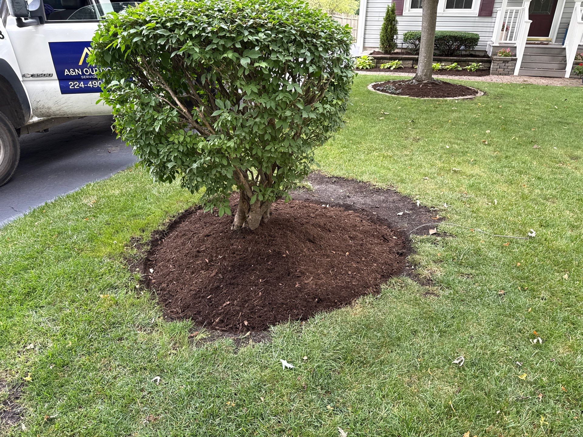 Karen M. - Palatine, IL by A&N