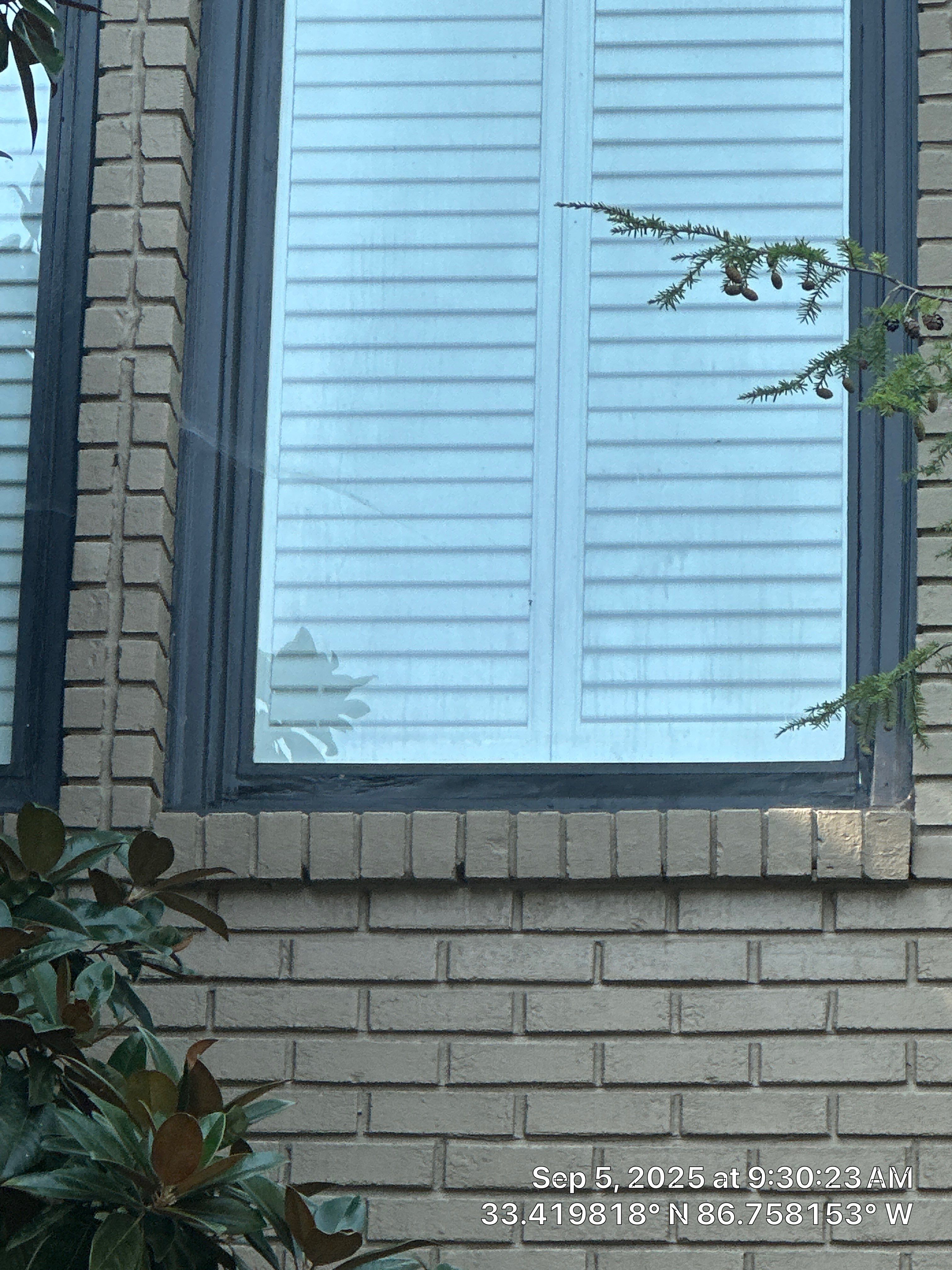Phillips Project in Vestavia by The Window Source