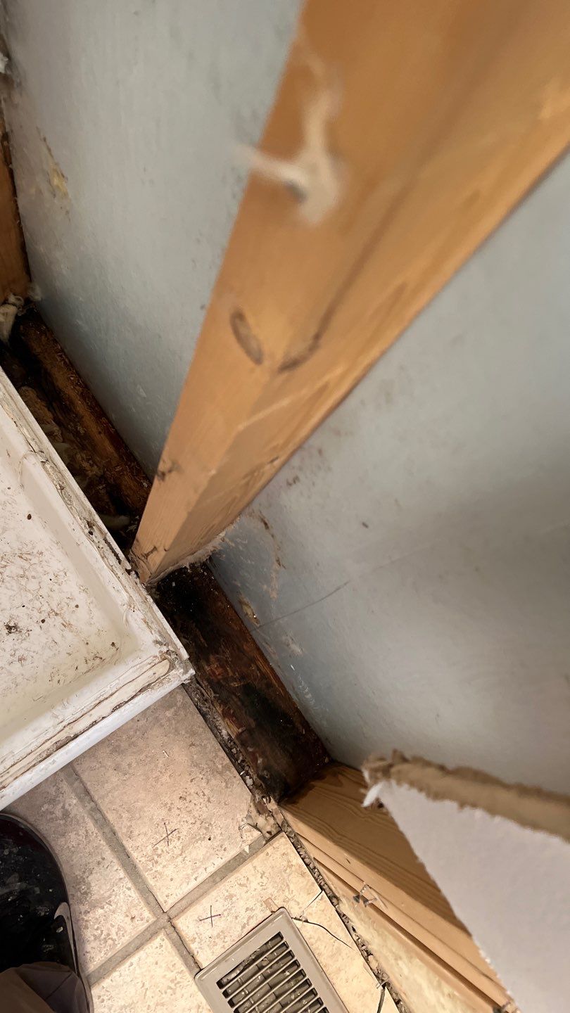 Water Damage and Mold Remediation by Accountable Home Services