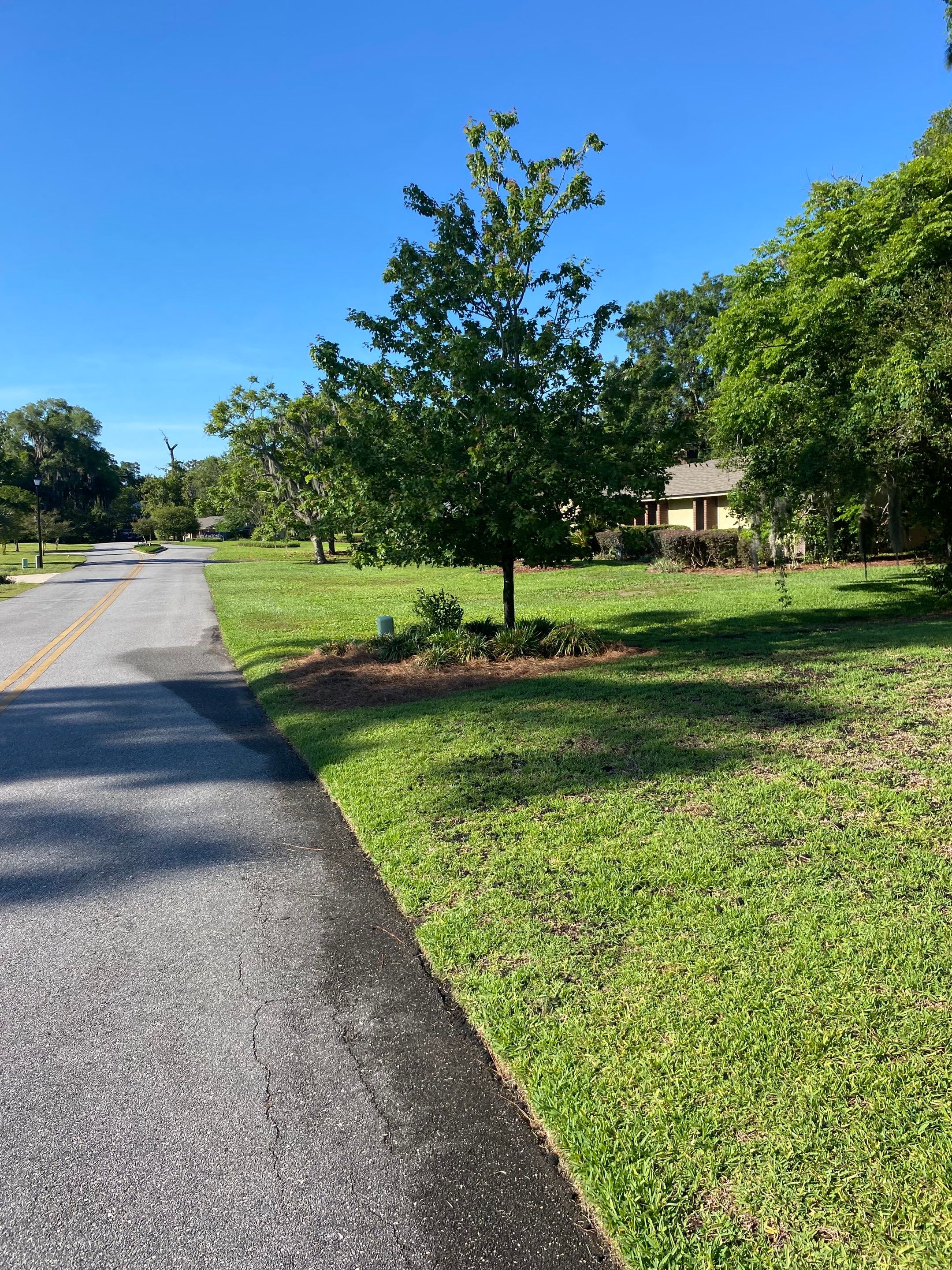 Deerwood Resident | Pine Straw & Topsoil Install by ProGreen Services
