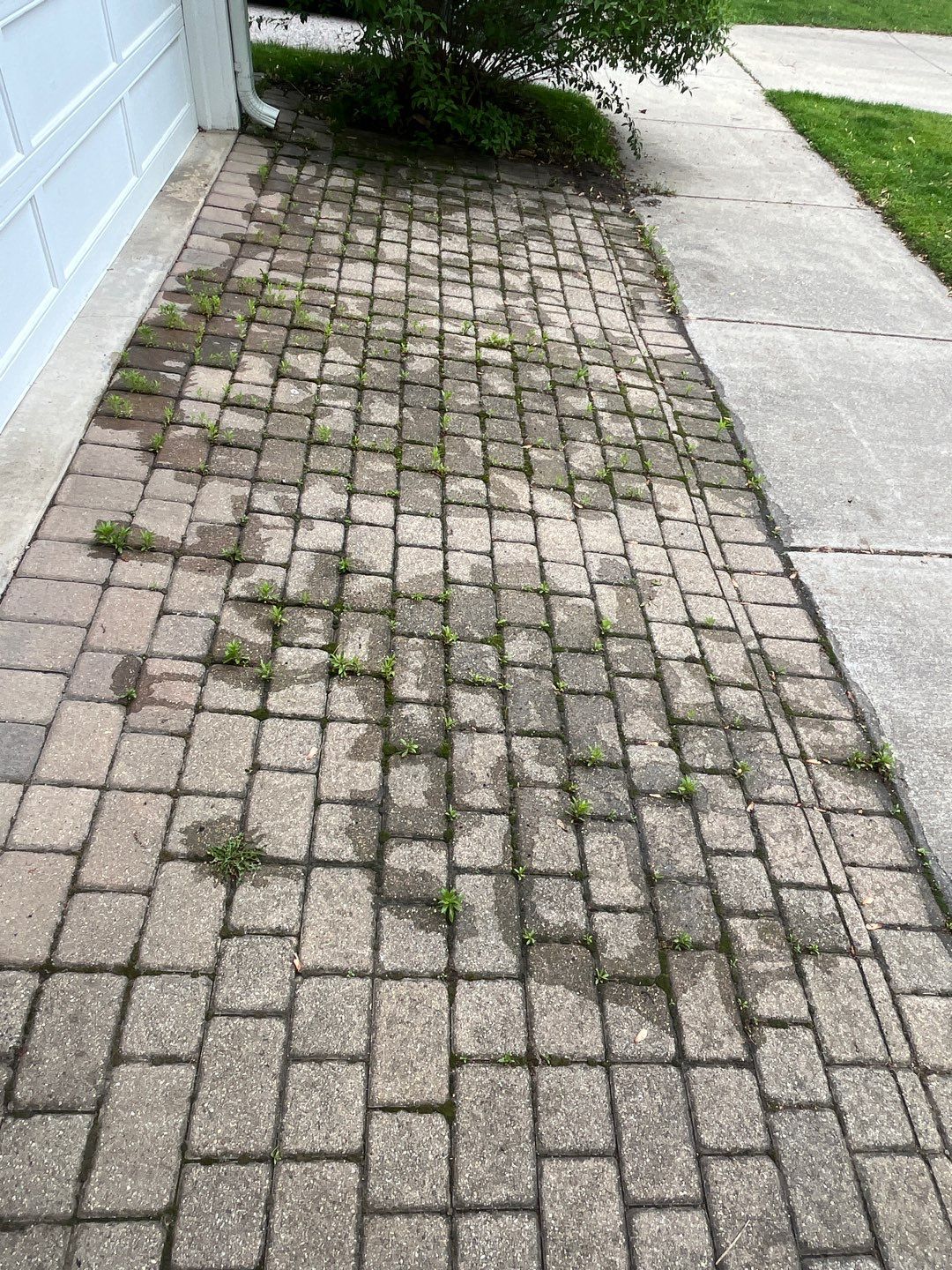 Brick paver cleaning and sealing by Northern Power Washing LLC.