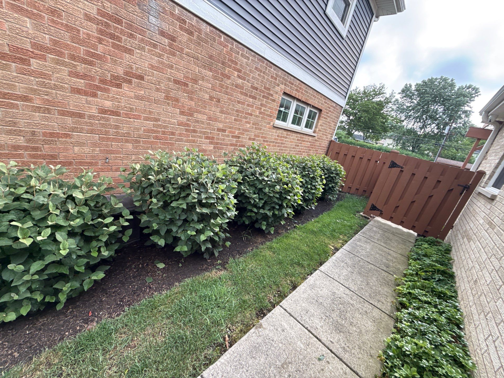 Clay U. - Arlington Heights, IL by A&N 