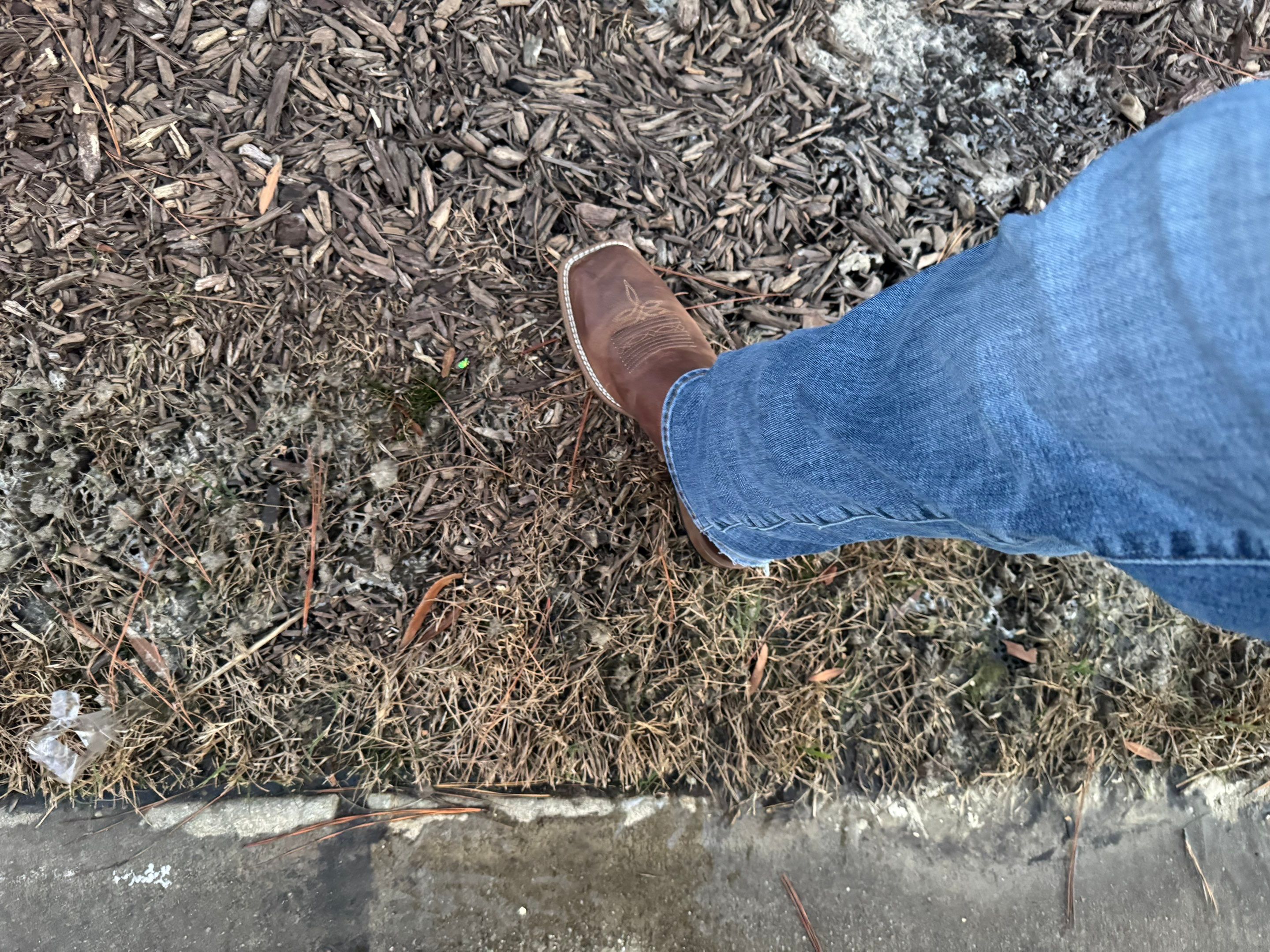 Private Water Main Repair & Site Drainage – Forest Hills Manor by S.W. Contracting & Consulting