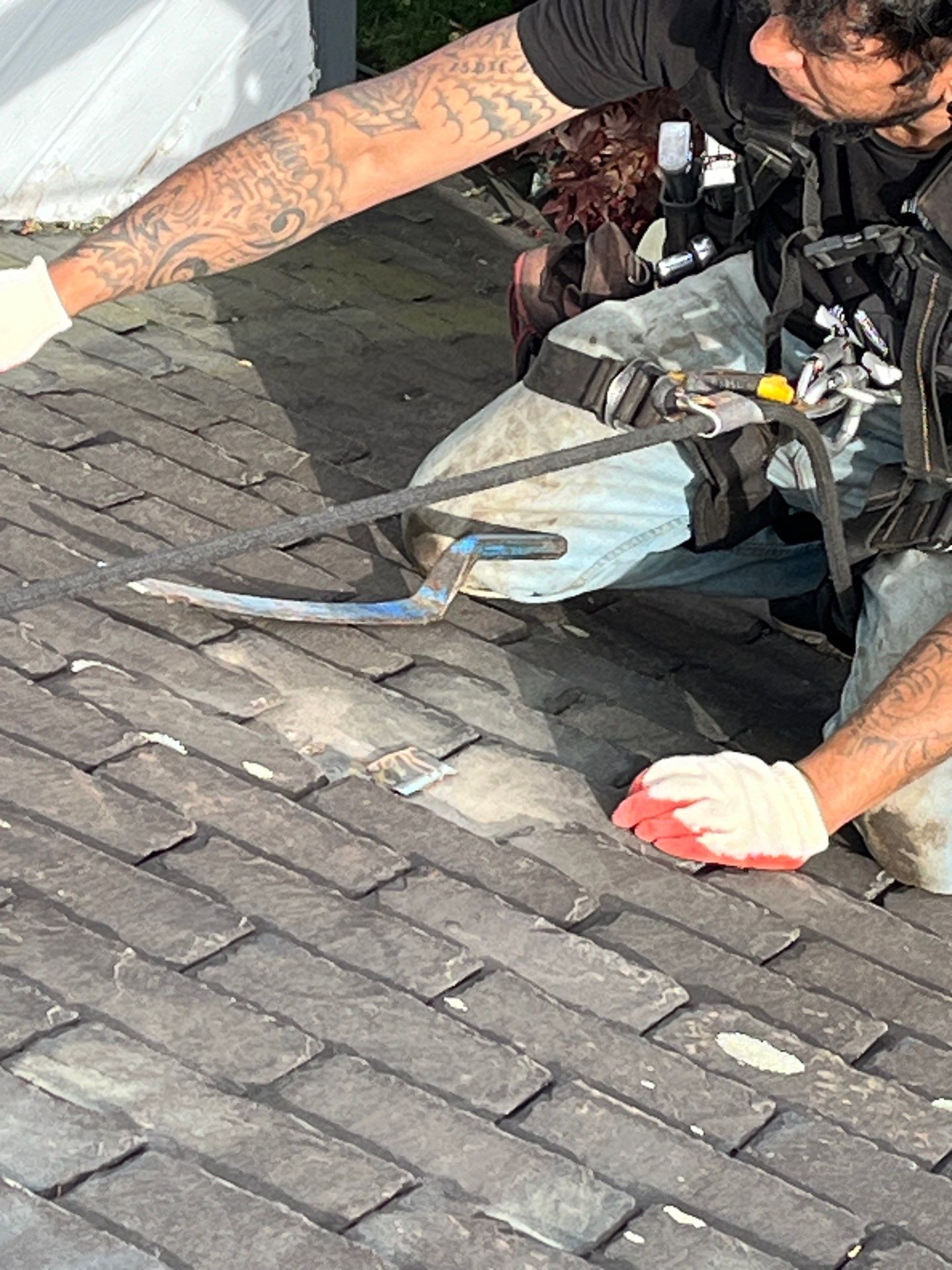 Arlington: Buckingham Slate and Carlisle Syntec TPO Roof by RM Banning, Inc.