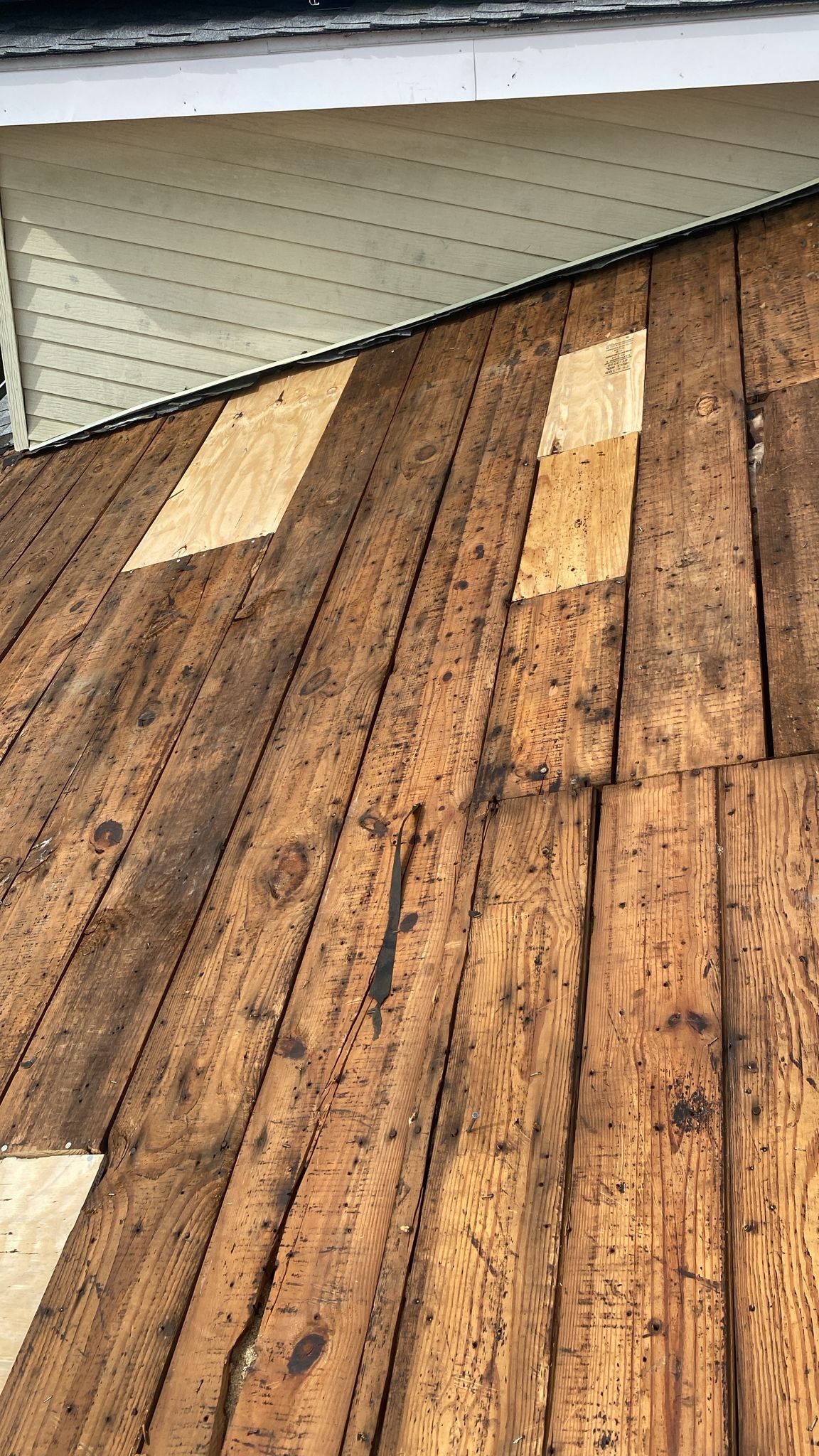 Silver Birch Shingles by Reimagine Roofing