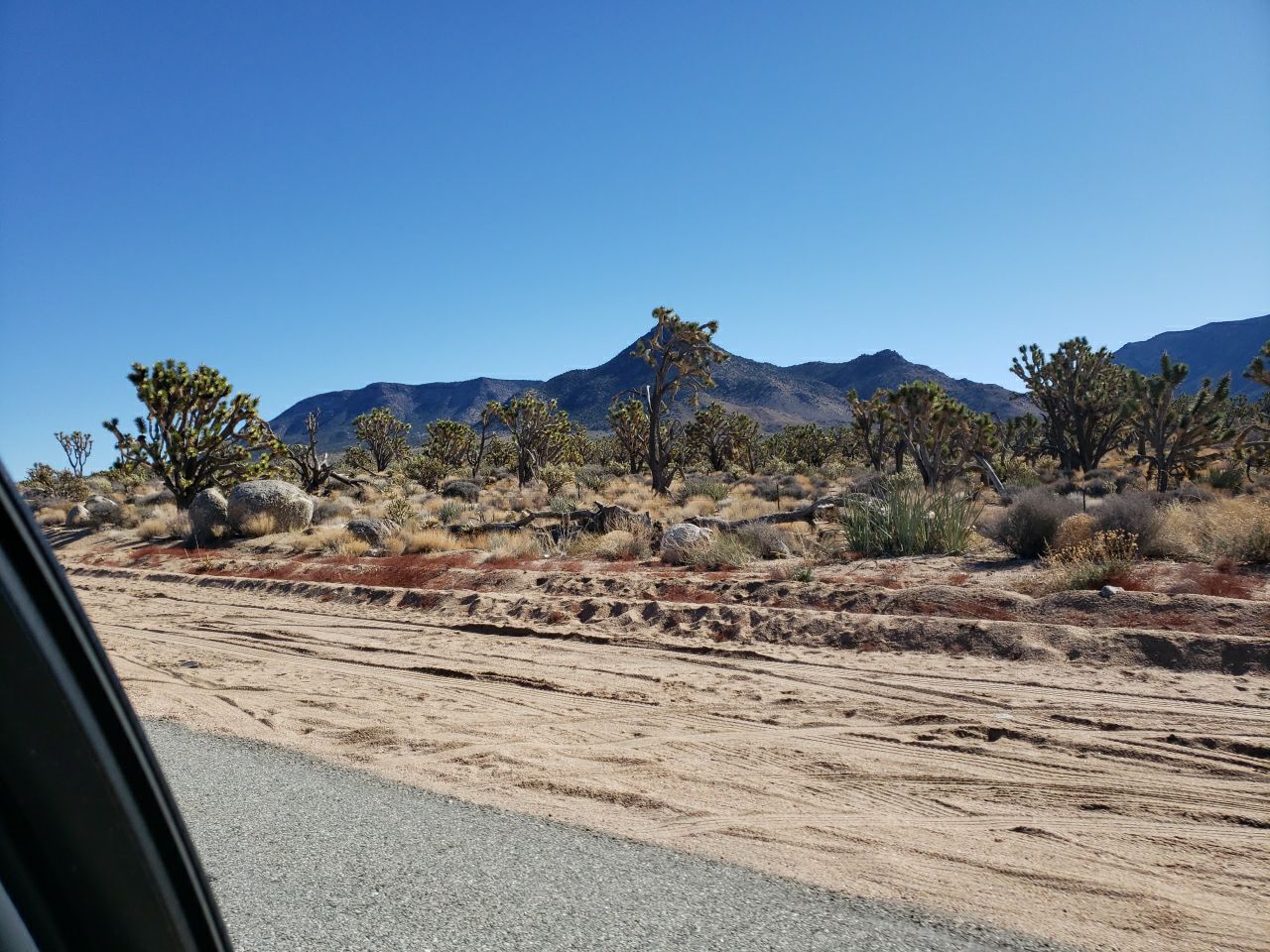 Visiting my Brother in Arizona by Power Wash Masters LLC