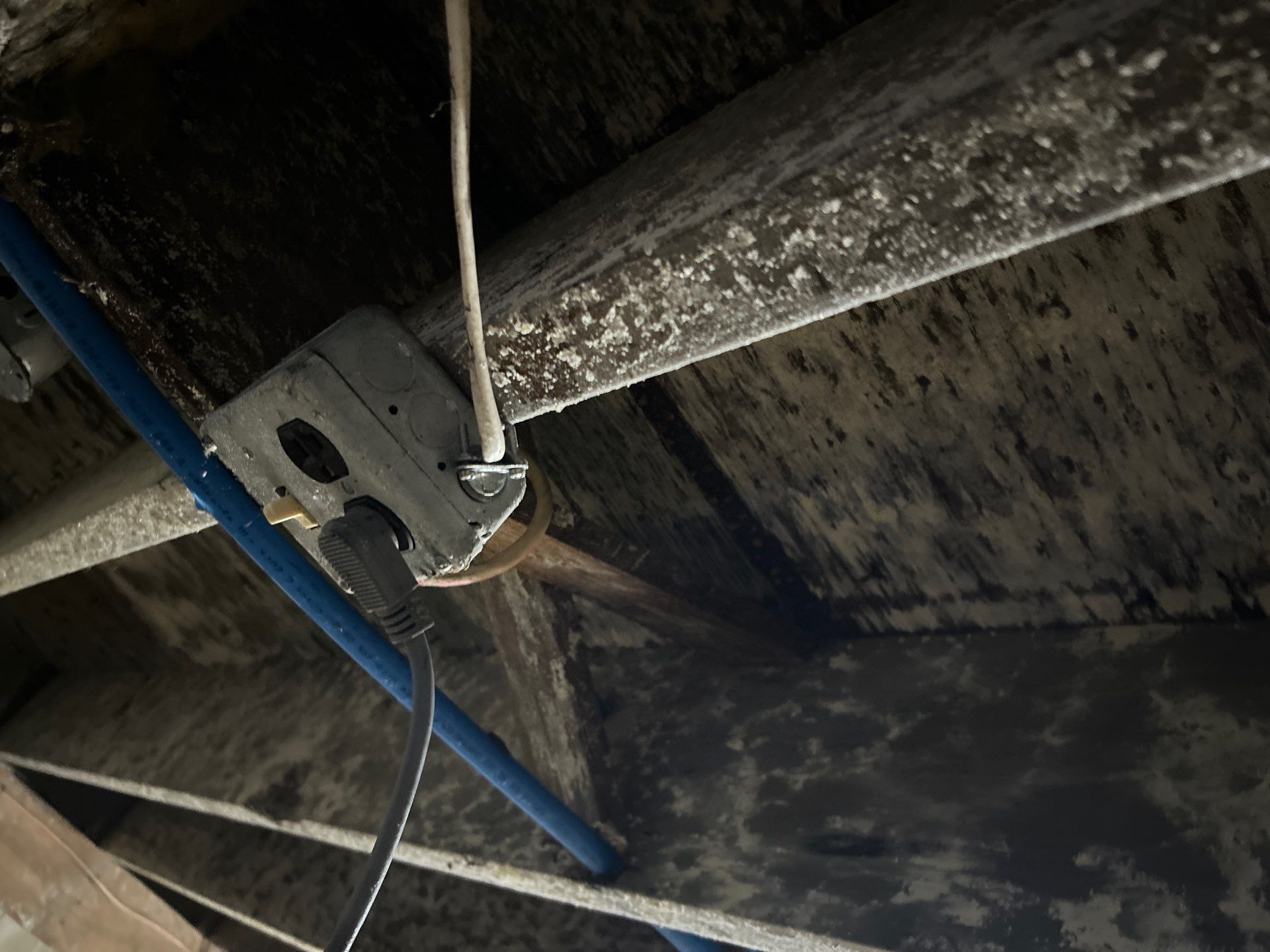 Crawlspace Water Mitigation and Structural Mold Remediation in Port Jefferson by EMS Restoration Corp