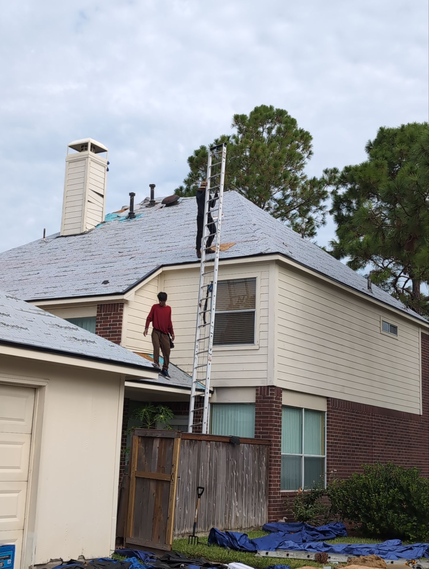 LIAM T by Boss Hogg Roofing