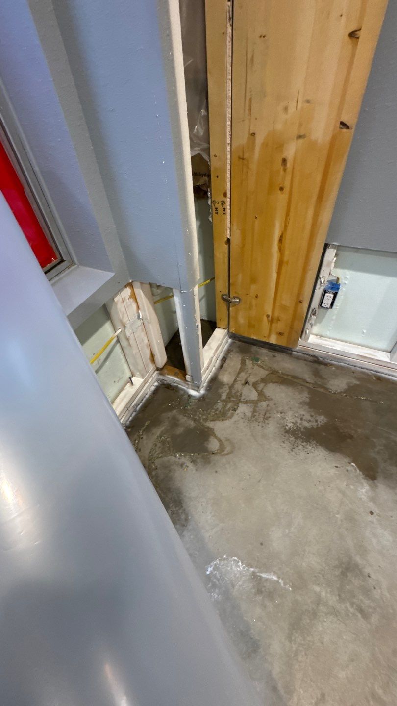 Mold Project in Thornton by Accountable Home Services