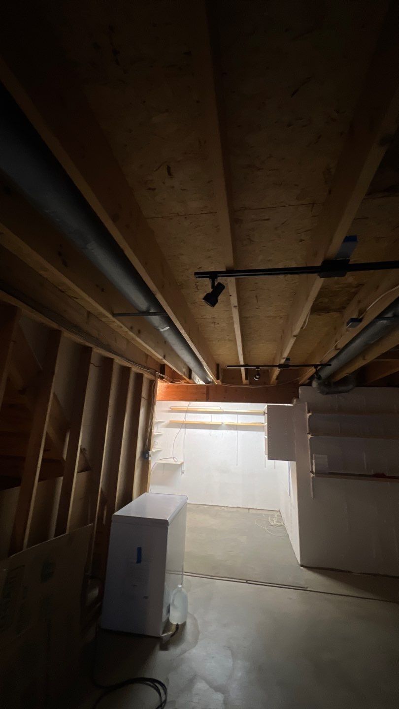 Mold Damage by Accountable Home Services