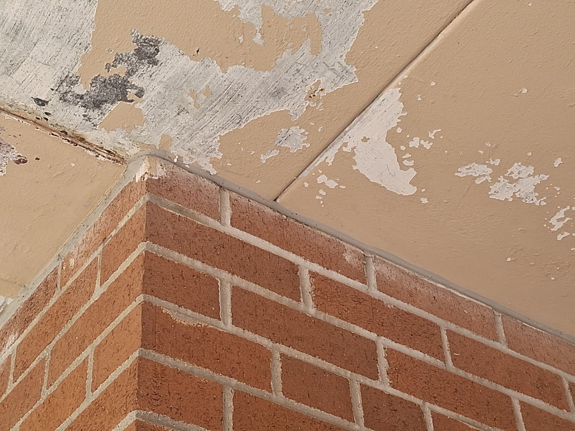 Commercial Exterior Pressure Washing and Soffit Preparation in Muskegon by Gordon Painting