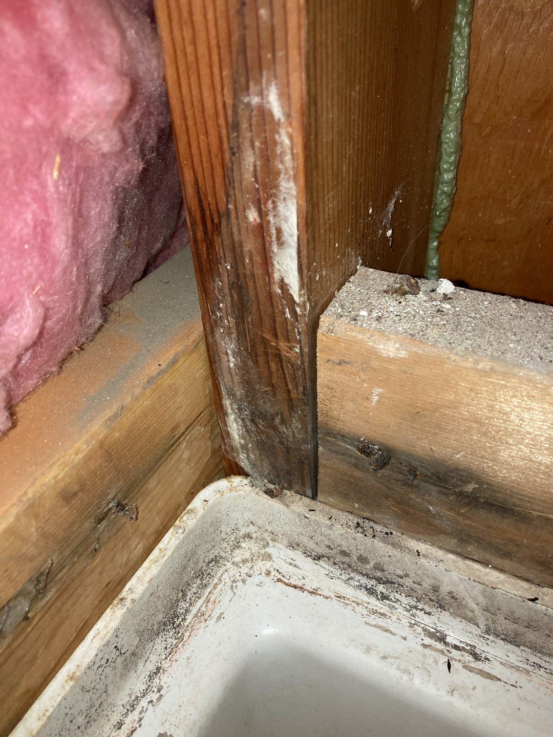 Mold Remediation  by Accountable Home Services