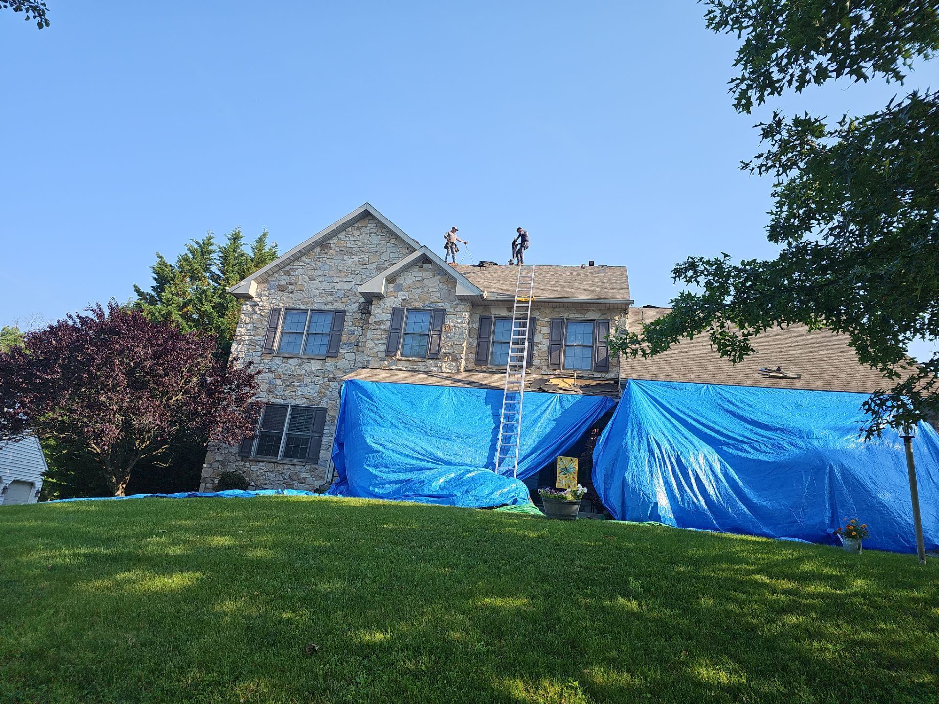 Roof Replacement and Attic Ventilation Upgrade in New Freedom, PA by Bealing Roofing & Exteriors