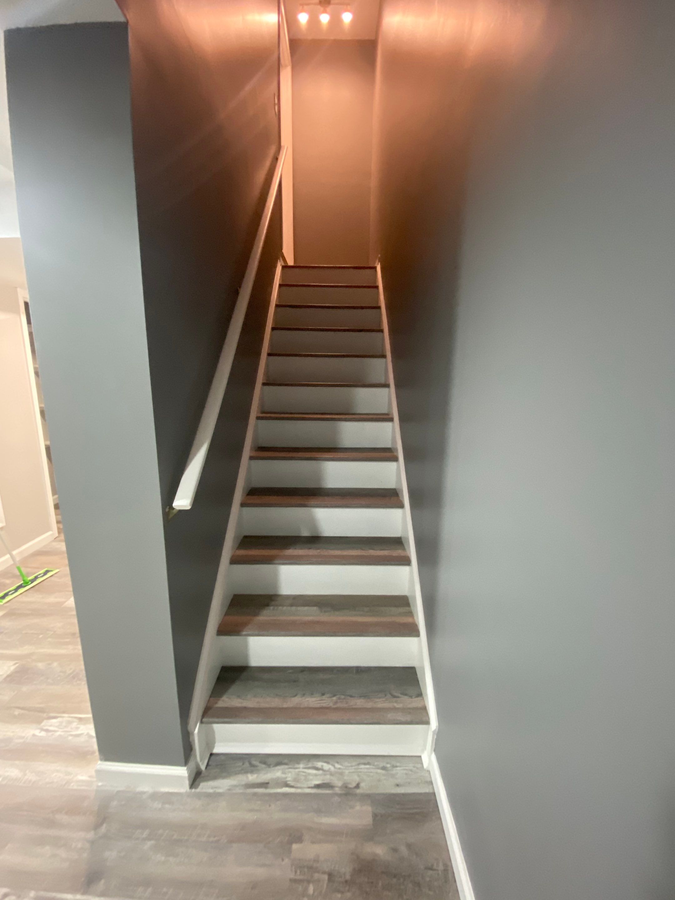 Complete Basement Buildout by The Smet Companies, LLC