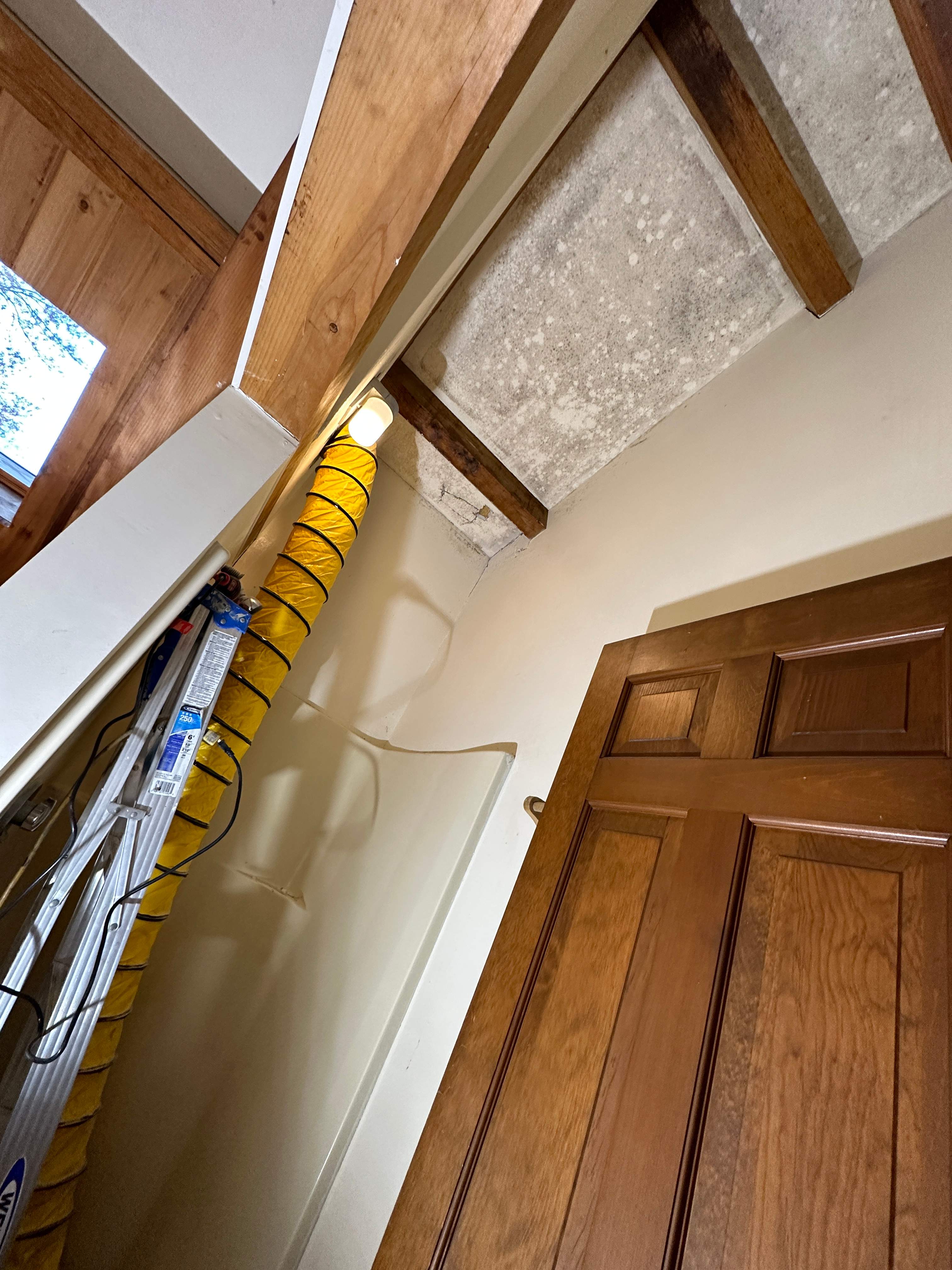Bathroom Mold Remediation by Home Guarantee, LLC