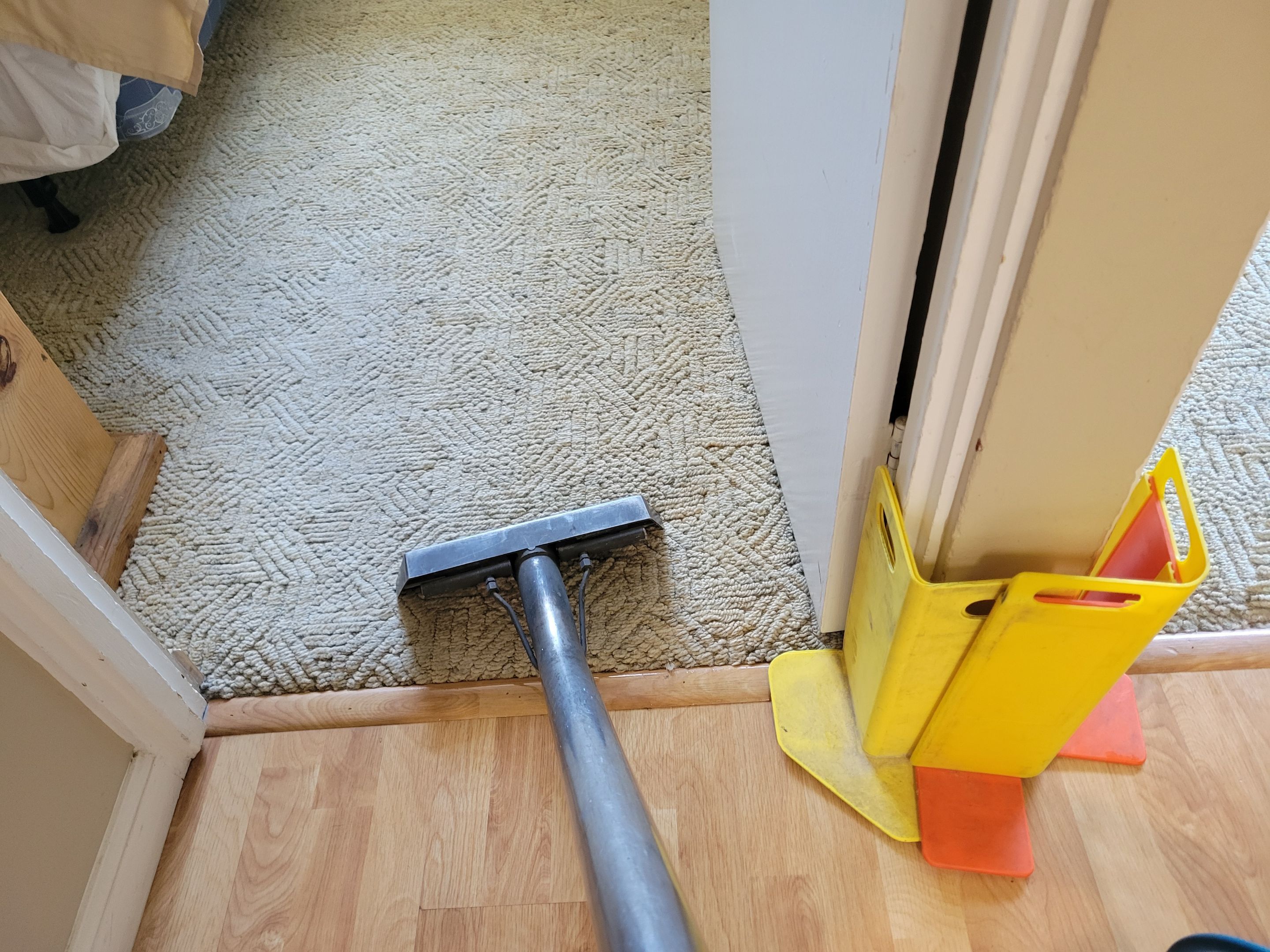 Multi-color and Patterned Looped Carpet Clean by Ardent Carpet Restore LLC