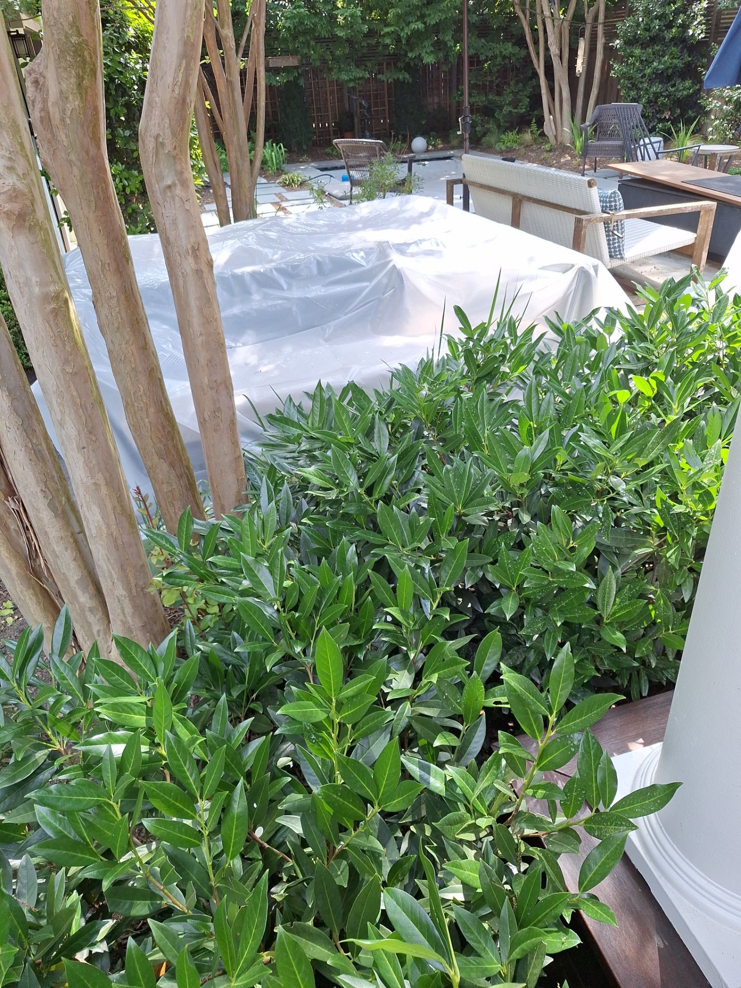 Exterior House Painting in Arlington, VA by My Painter 