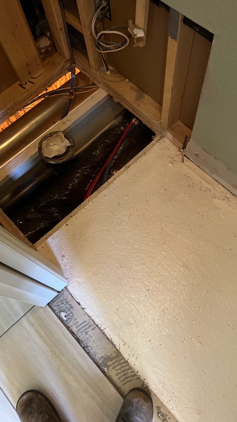 Mold Remediation by Accountable Home Services