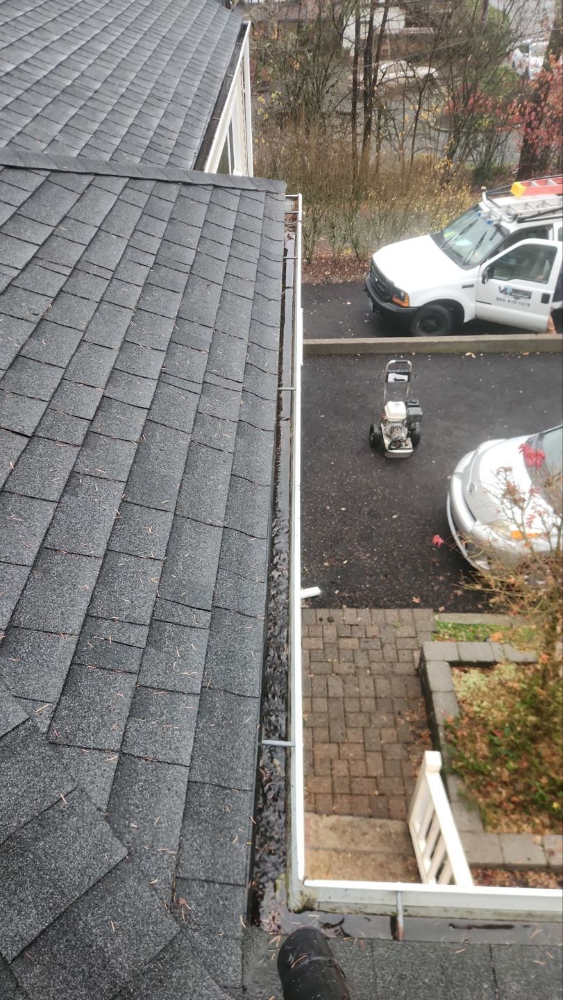 Driveway Repair using Pressure washing no chemicals by Willamette Outdoor Wash LLC