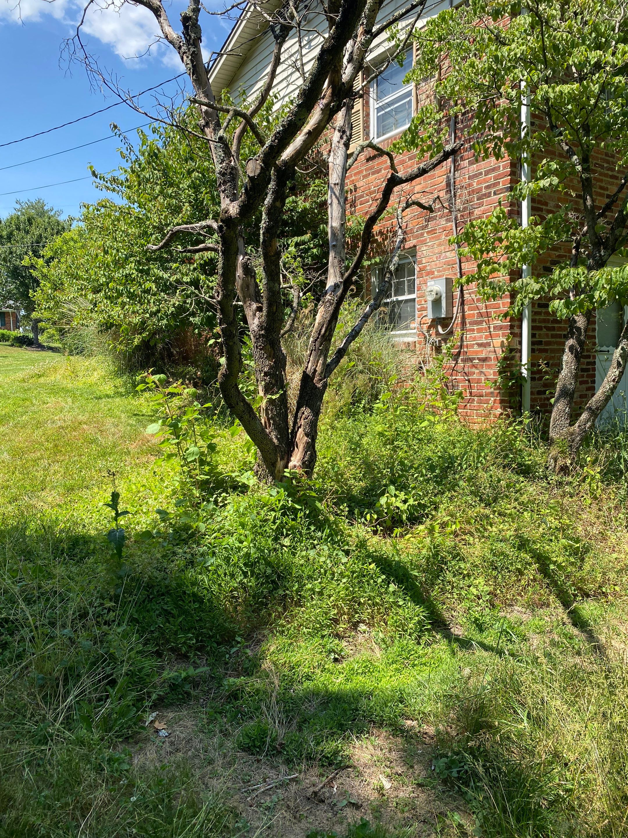 Landscape cleanup by The Smet Companies, LLC
