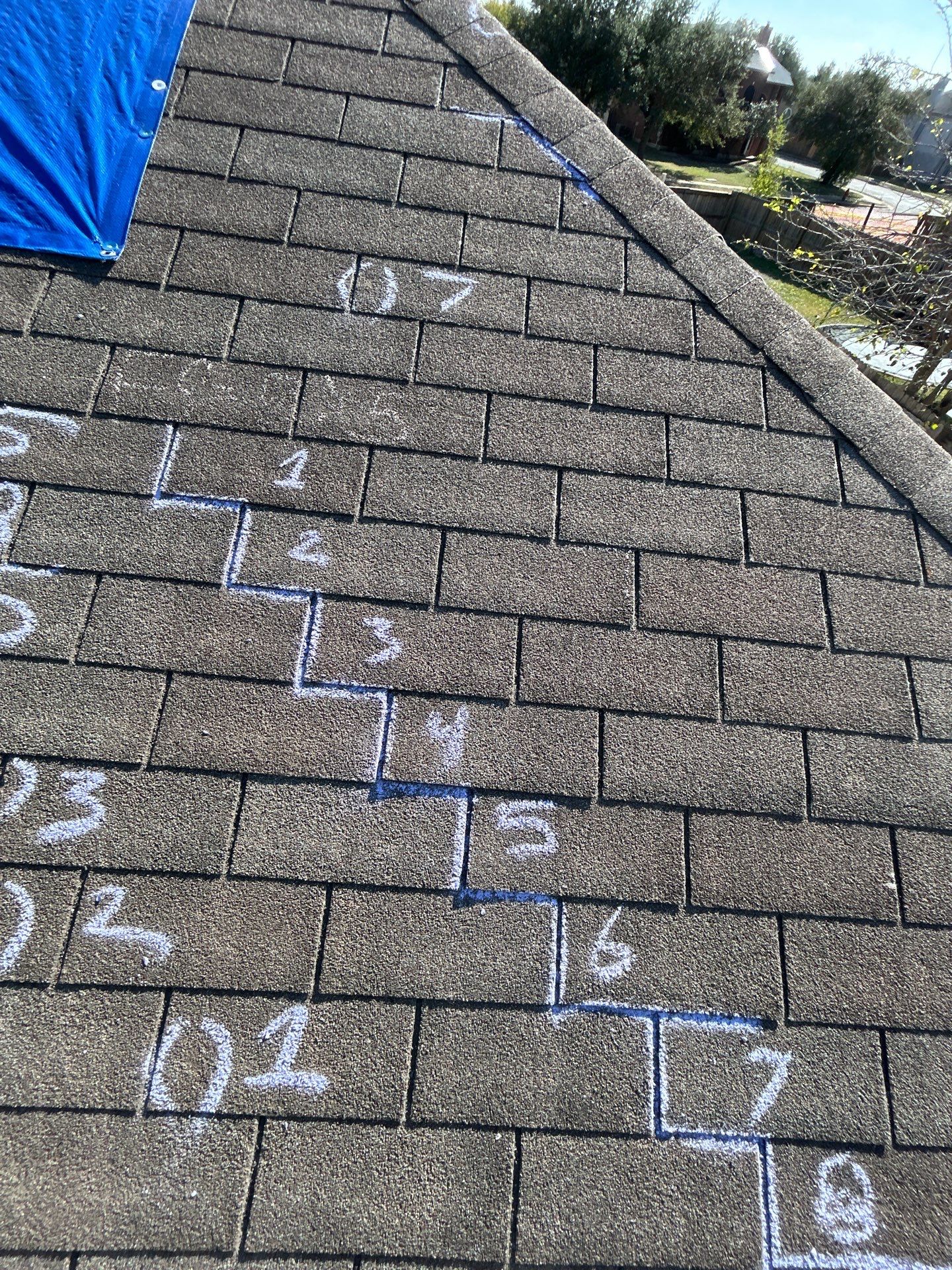 Miss Bridgette by REPS Austin Area Roofer