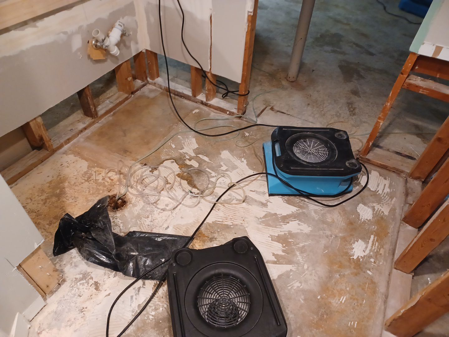 Project in Westland by EzDry Water Mitigation & Property Restoration