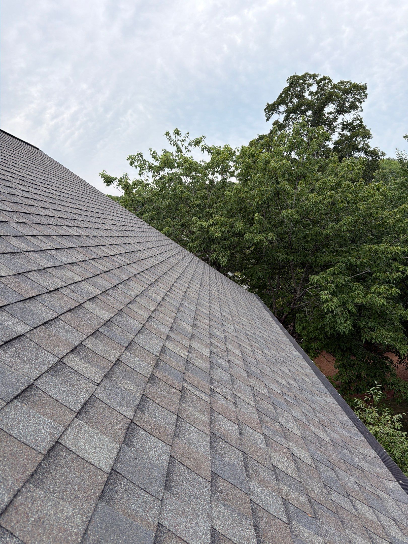 Project In Cary - Certainteed Landmark Pro Driftwood  by Pro Performance Roofing