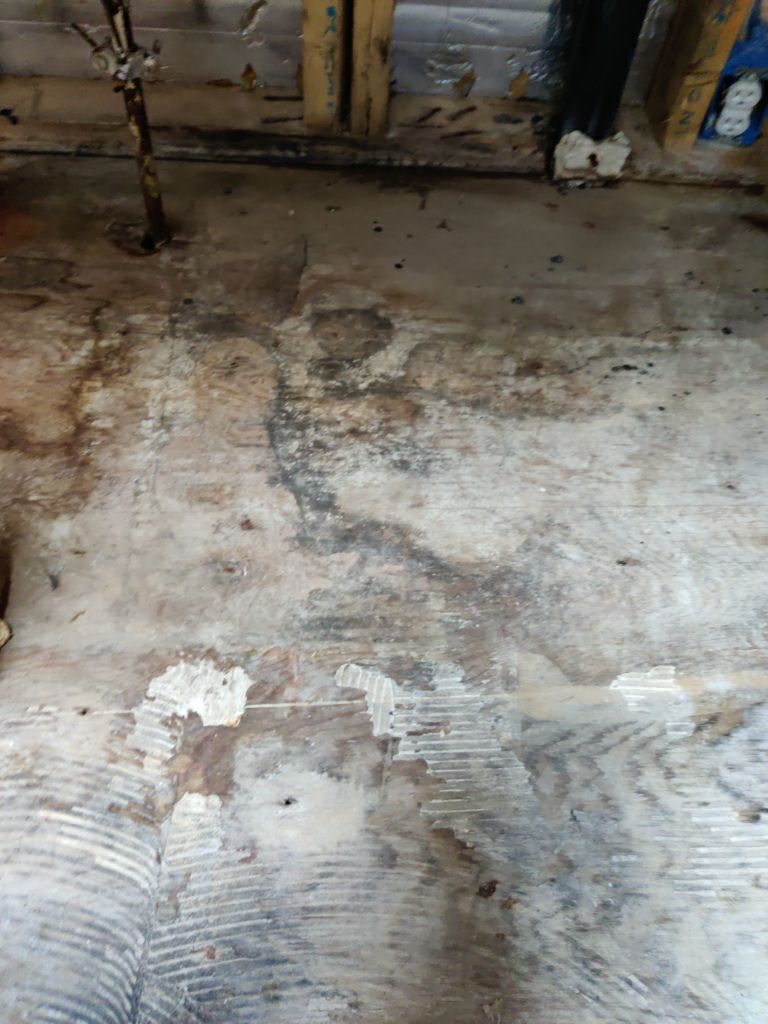 Mold Remediation using Containment by Accountable Home Services