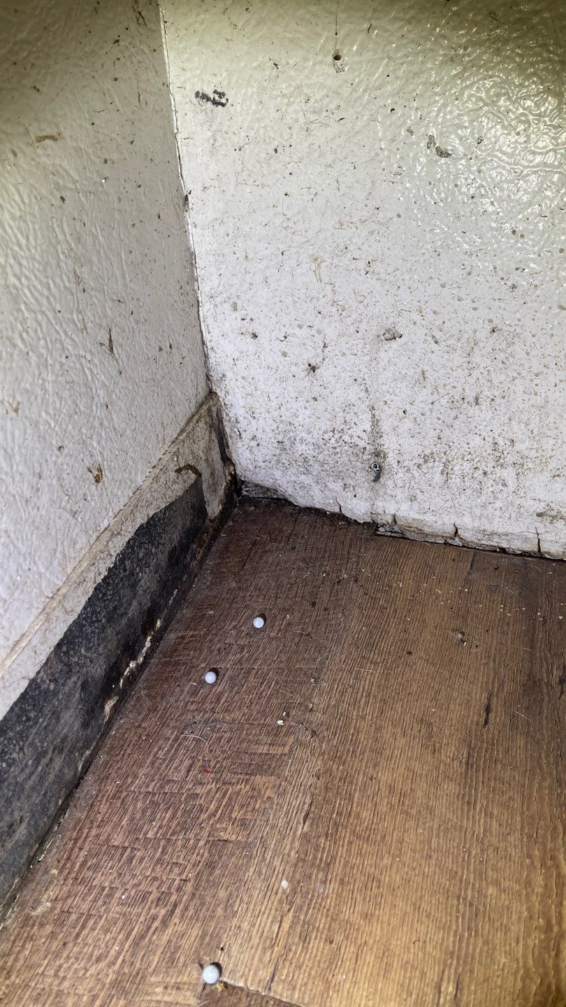 Waterproofing for Chris’ Rental Property Sale by Waterproofing Northeast