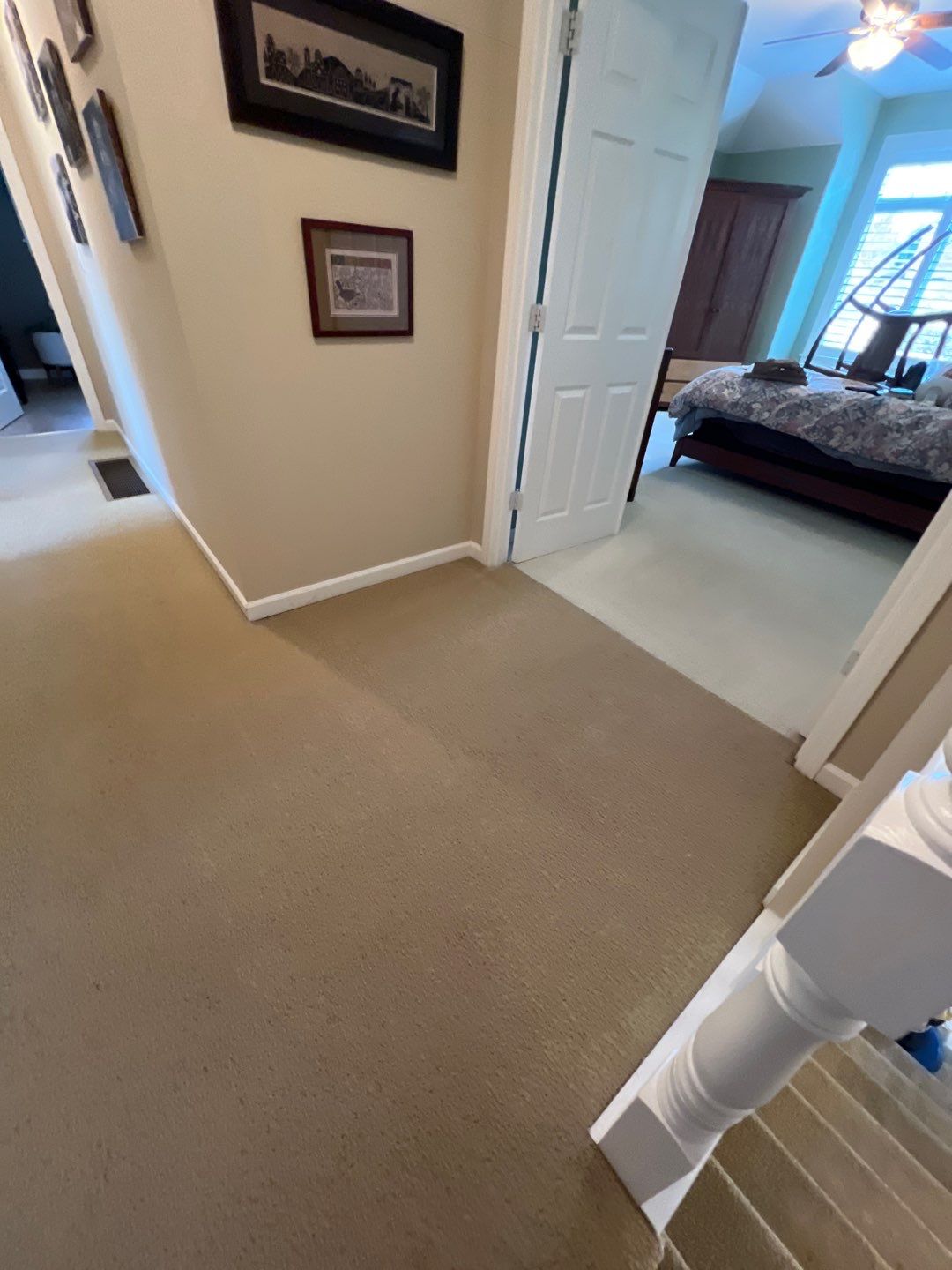 Carpet and Upholstery Cleaning in West Linn by Cloud 9 Professional Cleaning Services