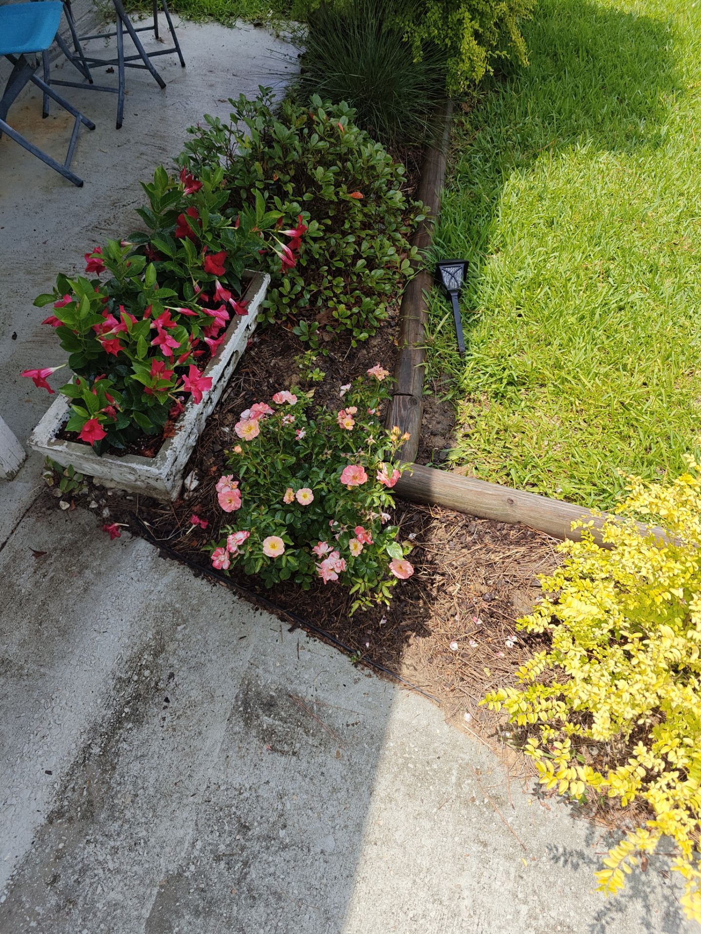Weekly Landscaping  by College Bros Outdoor services