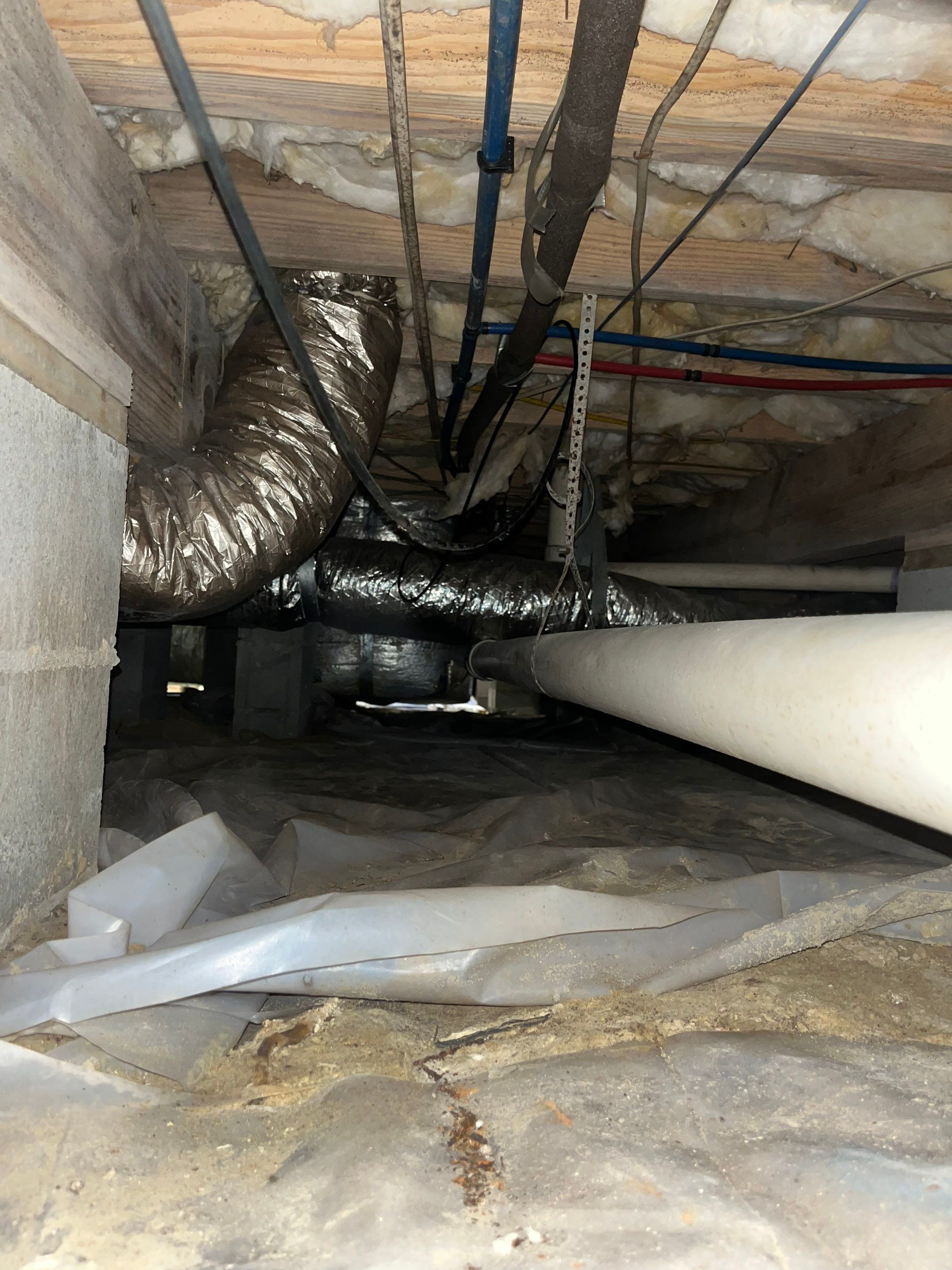 Impact Choice Encapsulation with French Drain, Mold Removal, and Crawlspace Door by Impact Crawlspace