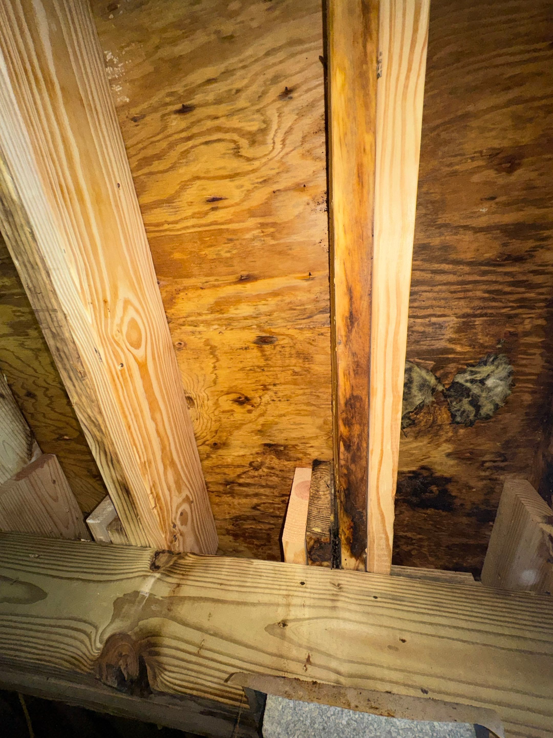 Project in Suffolk by Patriot Crawl Space Repairs