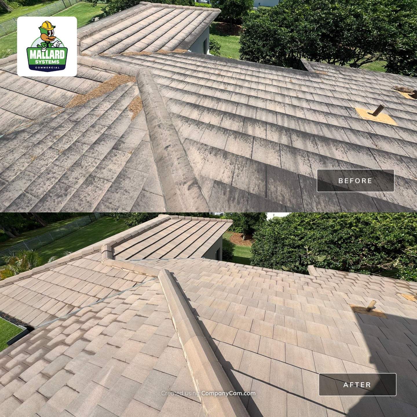 Flat Tile Roof Cleaning by Mallard Systems