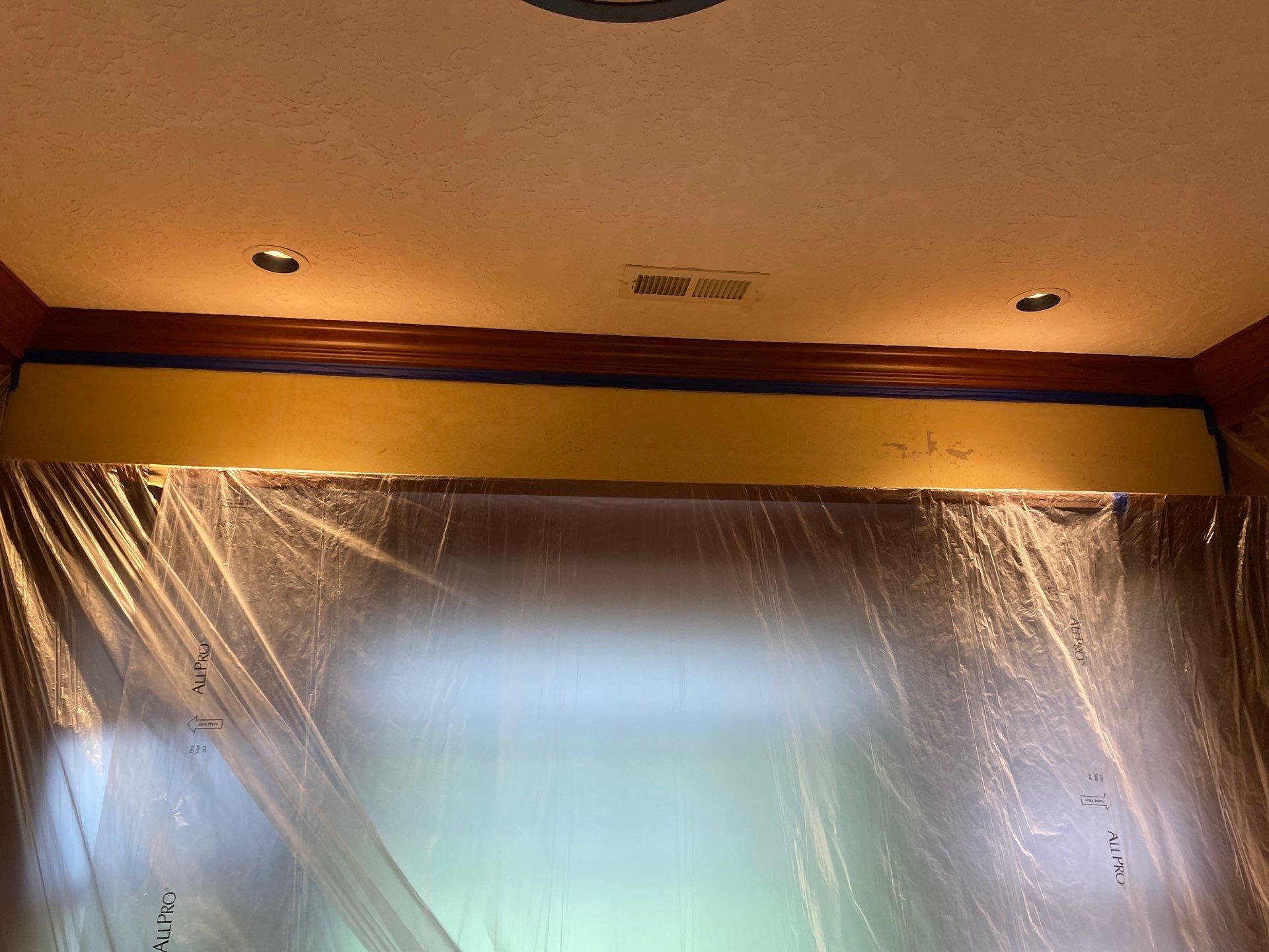 Interior Painting by Paul Schopp