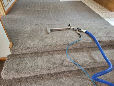 Carpet Cleaning for House Listing