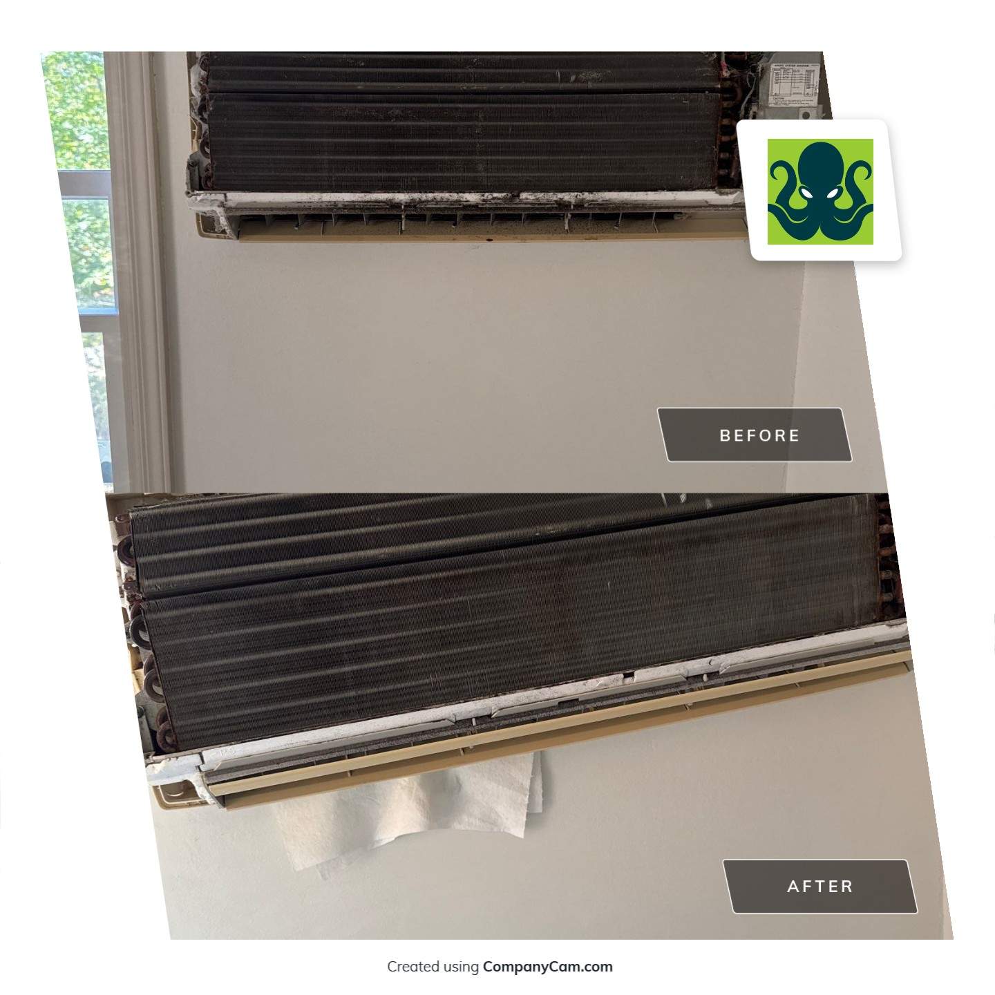 New Paltz, NY — Mini-Split Deep Clean & Biological Growth Removal by Shelter Air