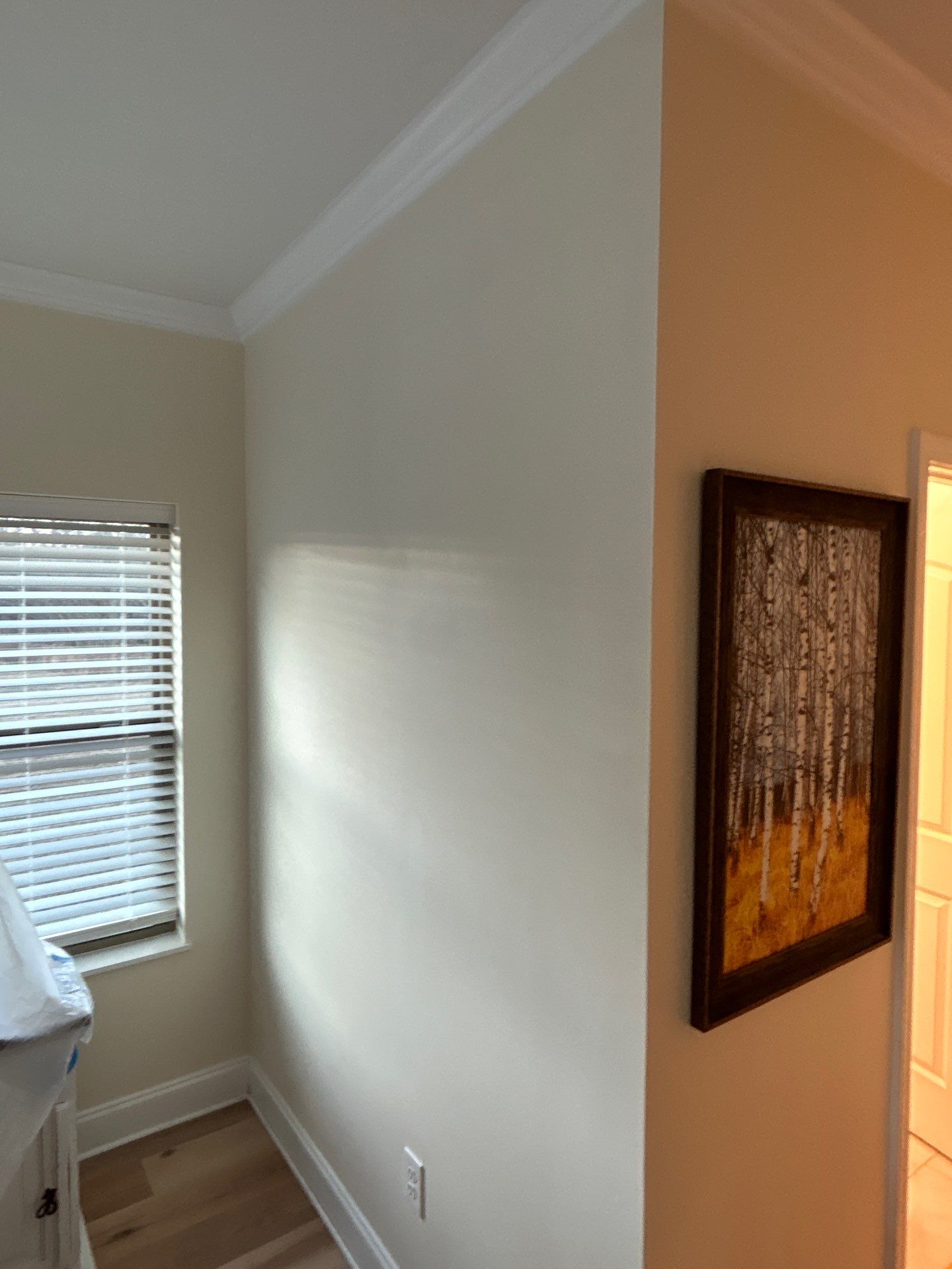 Hometown Handyman featured photo.