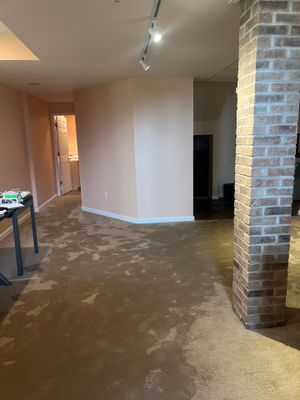 Project in Ann Arbor